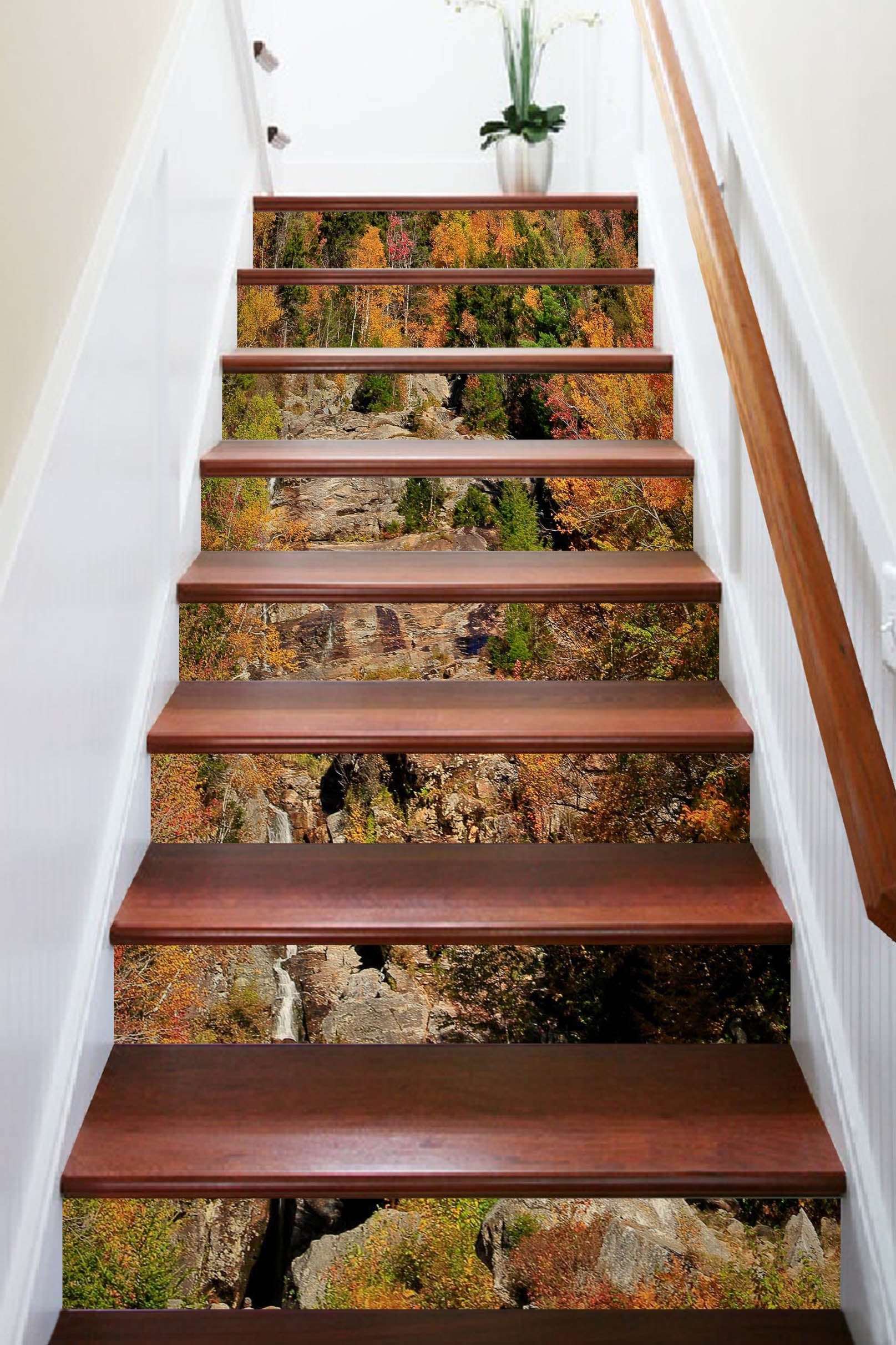 3D Mountain Forest 94112 Kathy Barefield Stair Risers