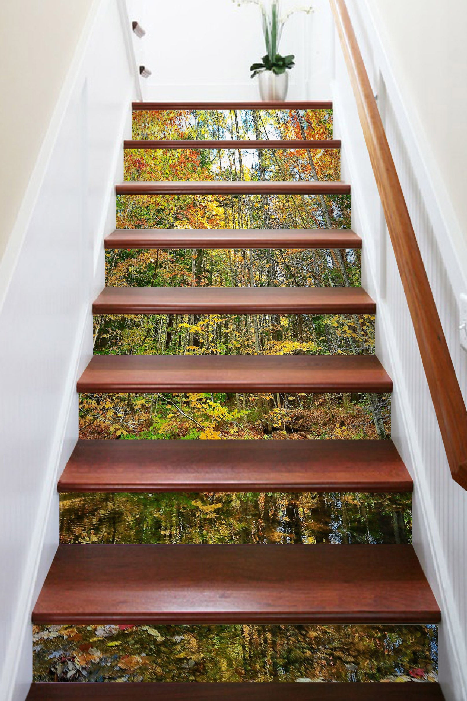 3D Forest 94109 Kathy Barefield Stair Risers