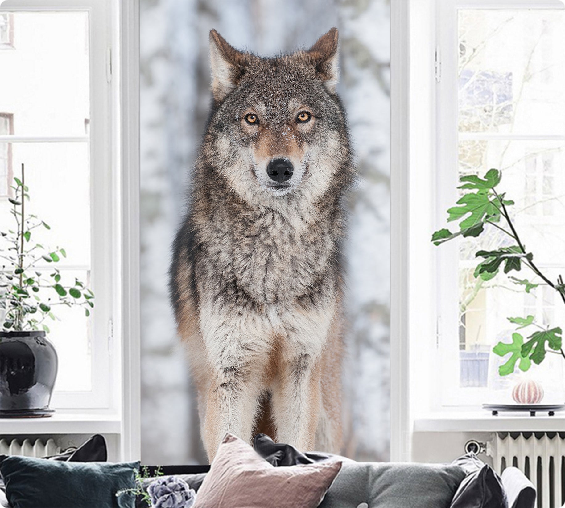 3D Wolf Animal 141 Wall Murals