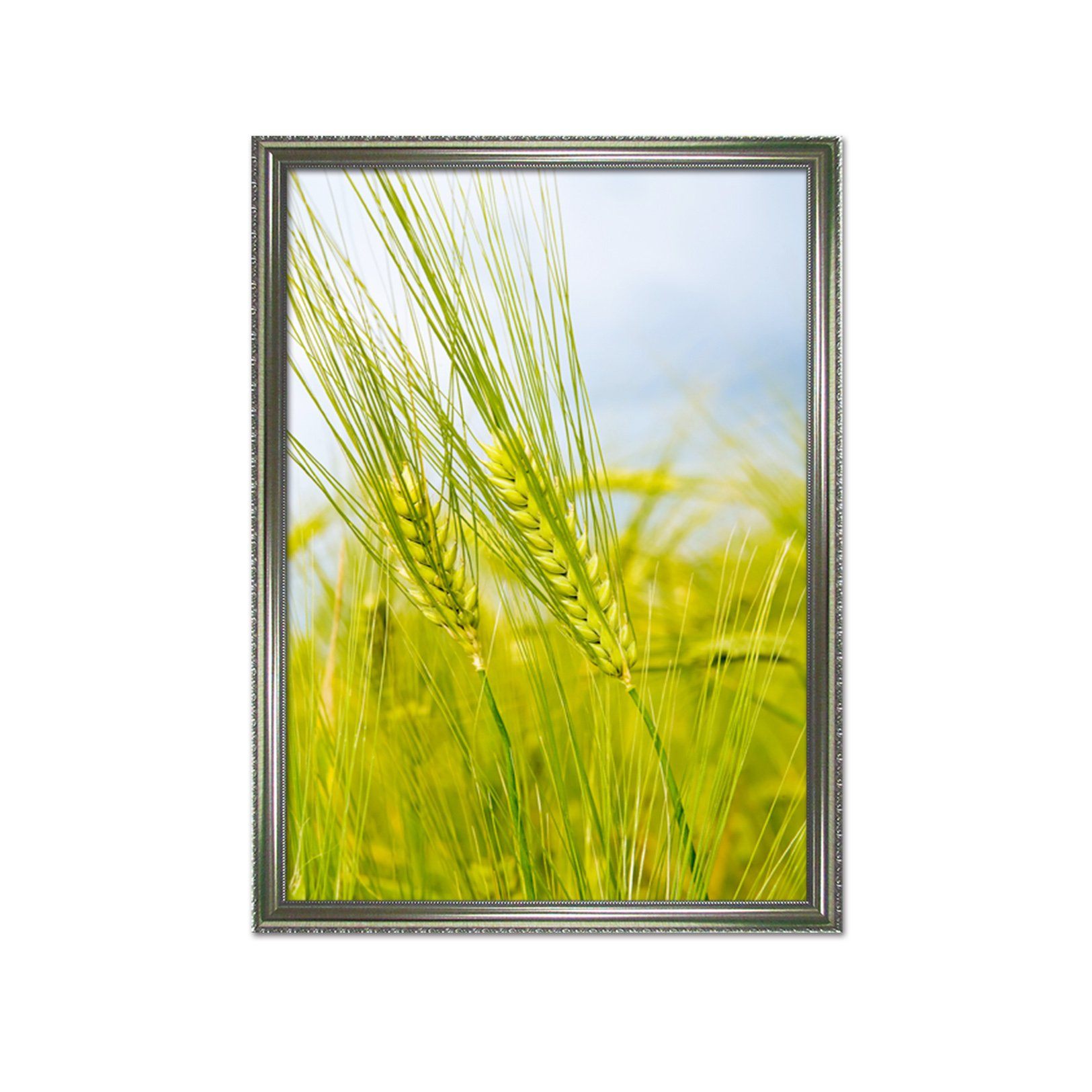 3D Dog's Tail Grass 021 Fake Framed Print Painting Wallpaper AJ Creativity Home 