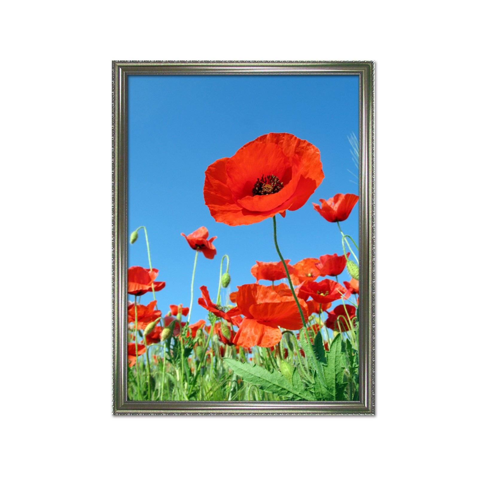 3D Small Red Flower 031 Fake Framed Print Painting Wallpaper AJ Creativity Home 