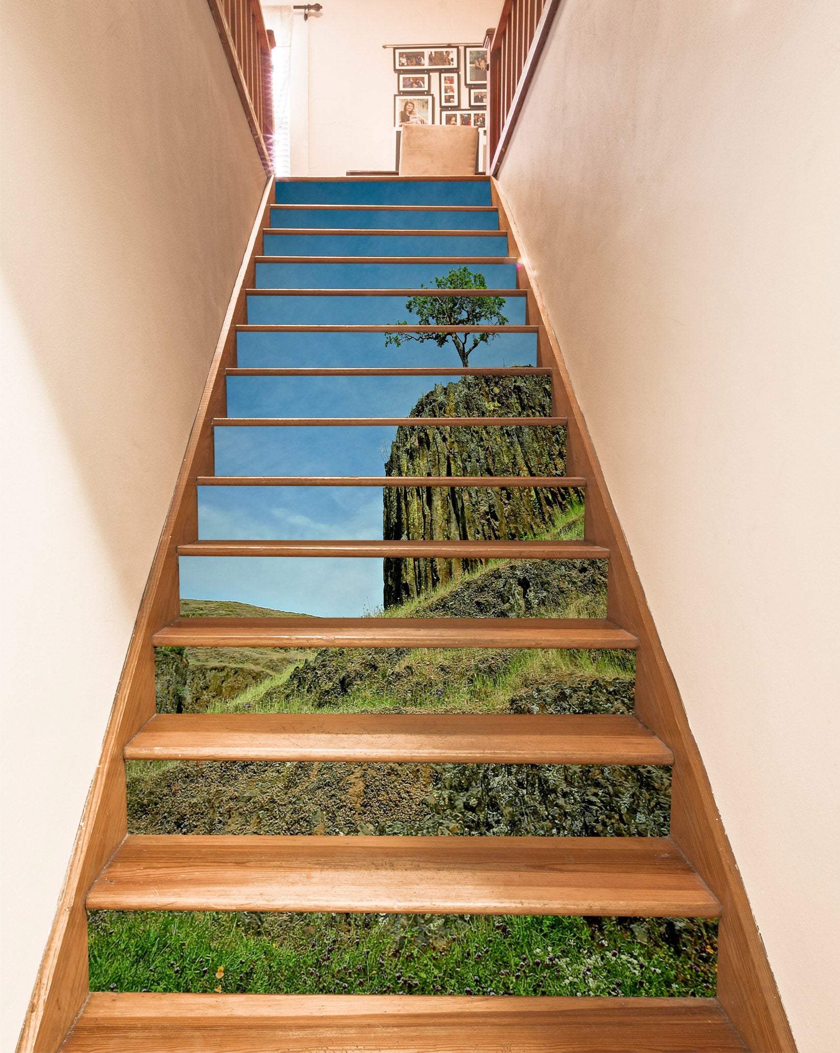 3D Grass Hillside Stone 94137 Kathy Barefield Stair Risers