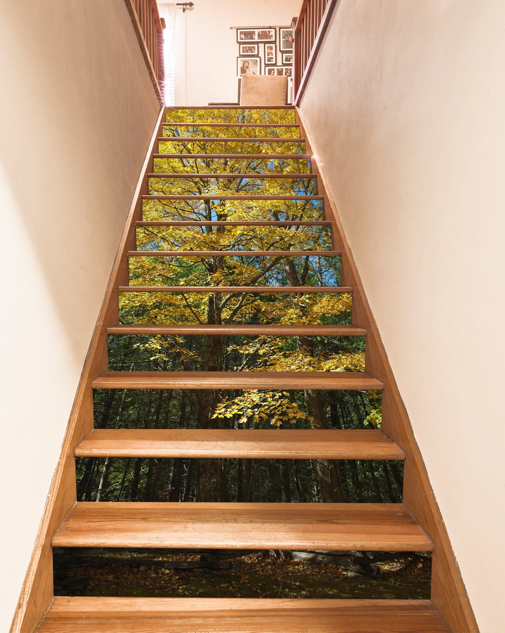 3D Forest 98210 Kathy Barefield Stair Risers