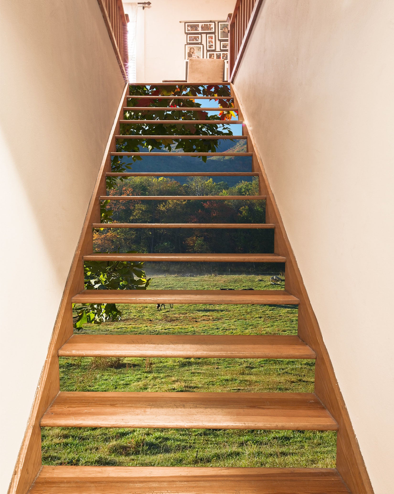 3D Lawn Woods 98217 Kathy Barefield Stair Risers