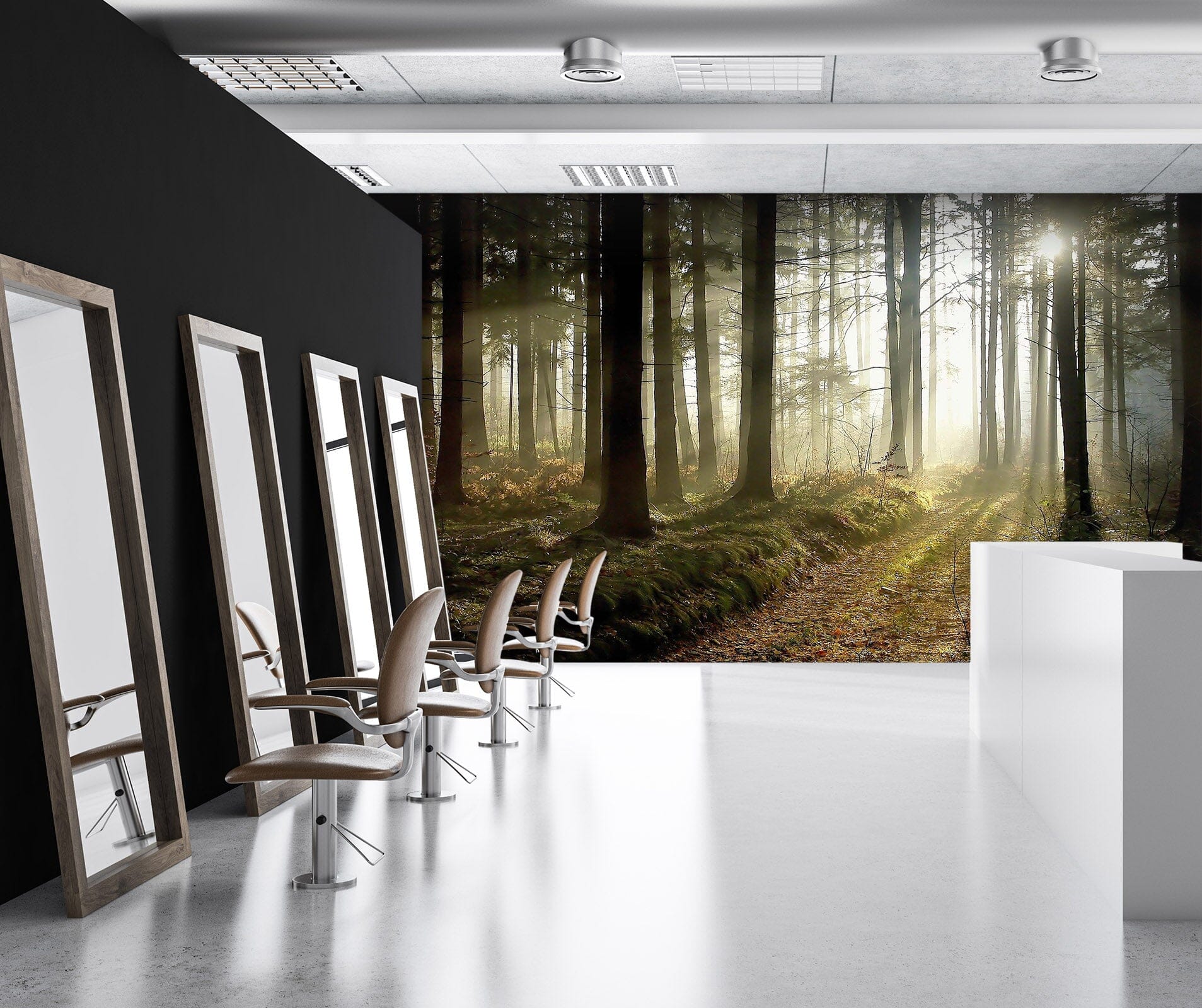 3D Woods Sunshine 376 Wall Murals Wallpaper AJ Wallpaper 2 