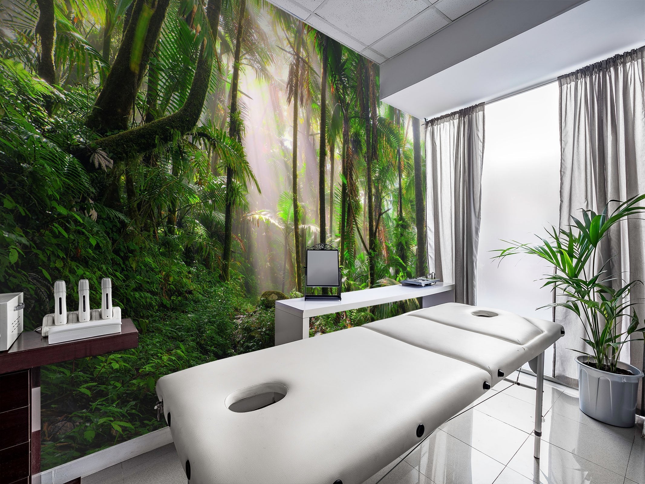 3D Forest Morning 66 Wall Murals Wallpaper AJ Wallpaper 2 