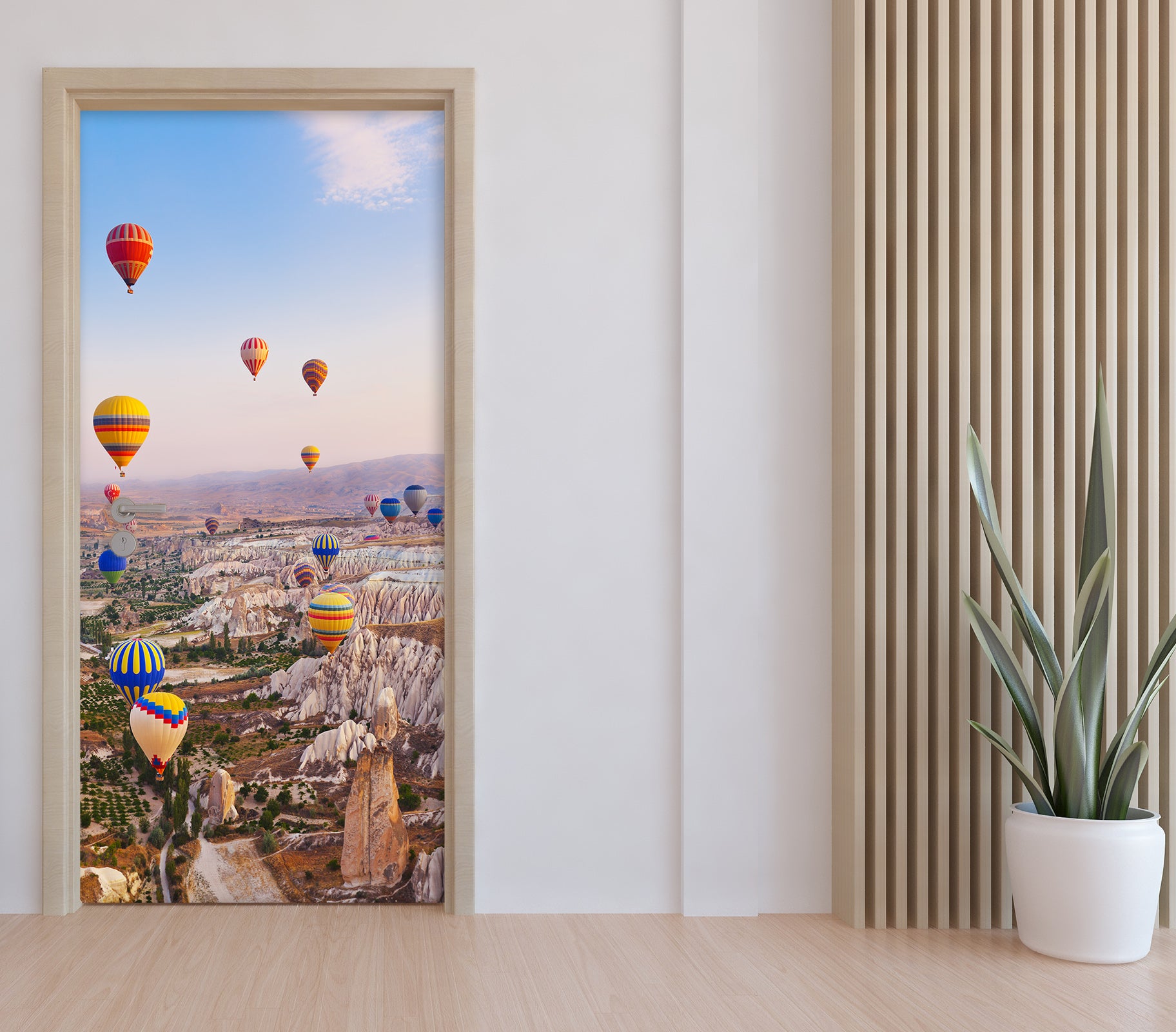 3D Hot Air Balloon 25105 Door Mural