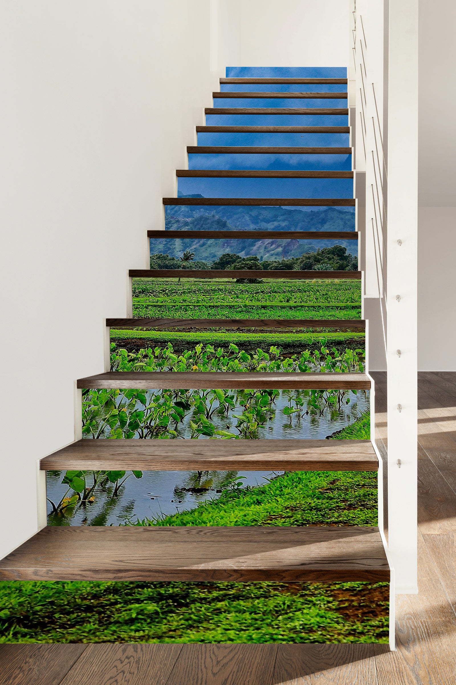 3D Field Green Plants 101105 Kathy Barefield Stair Risers