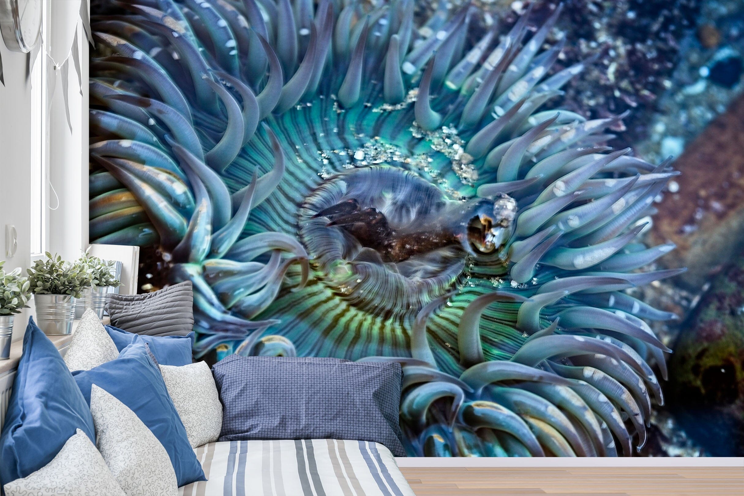 3D Tidepool Treasure 130 Kathy Barefield Wall Mural Wall Murals Wallpaper AJ Wallpaper 2 