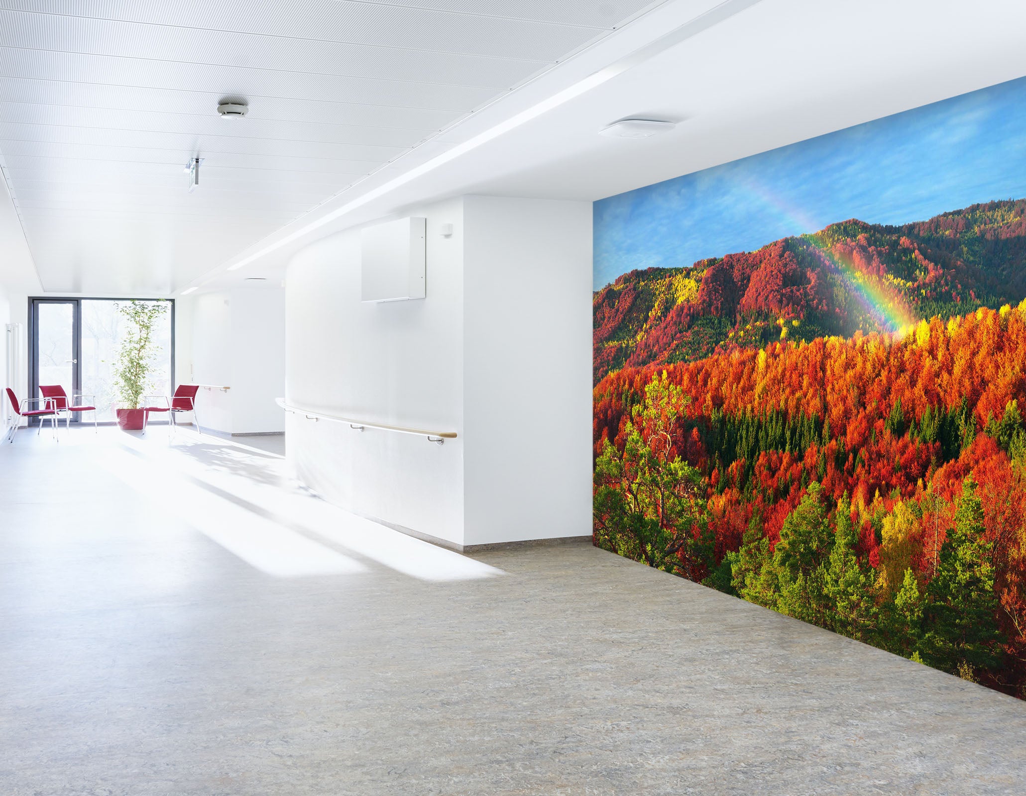 3D Rainbow Forest 213 Wall Murals