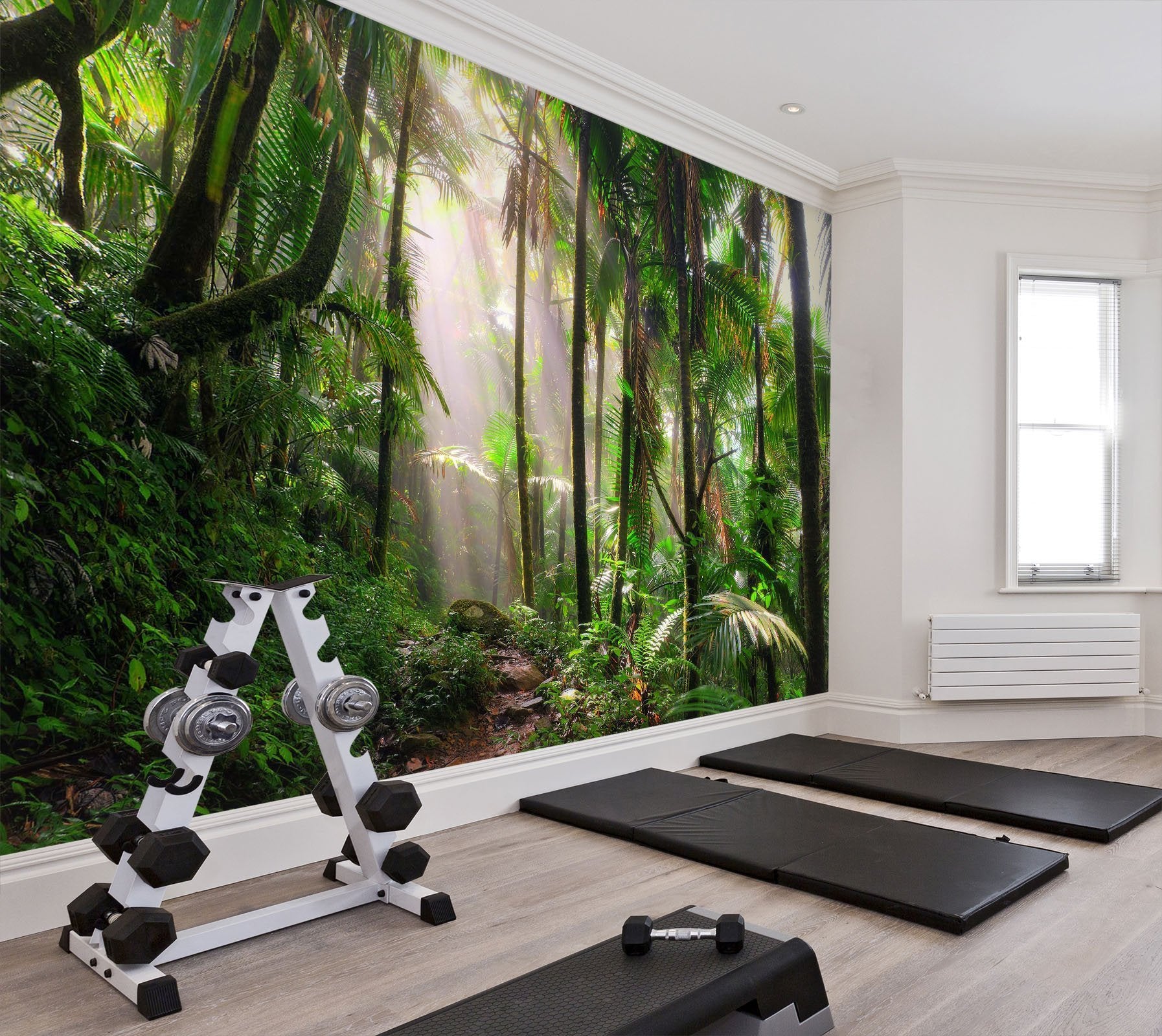 3D sunshine with rain forest 26 Wall Murals Wallpaper AJ Wallpaper 