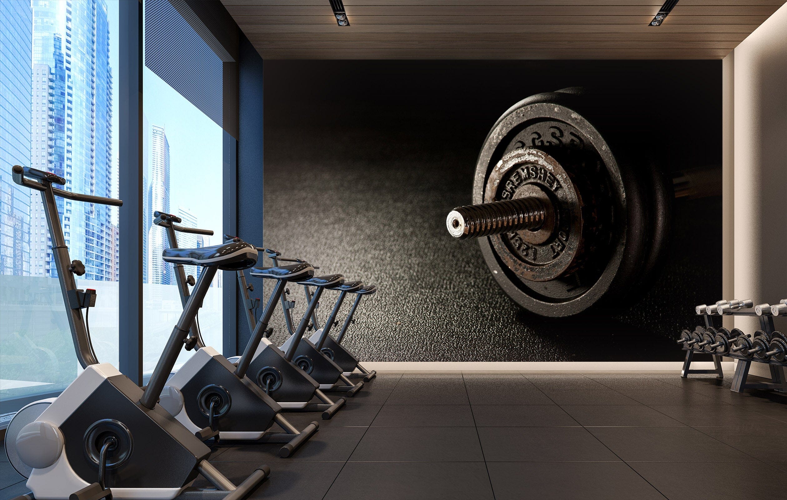 3D Dumbbell 206 Wall Murals Wallpaper AJ Wallpaper 2 