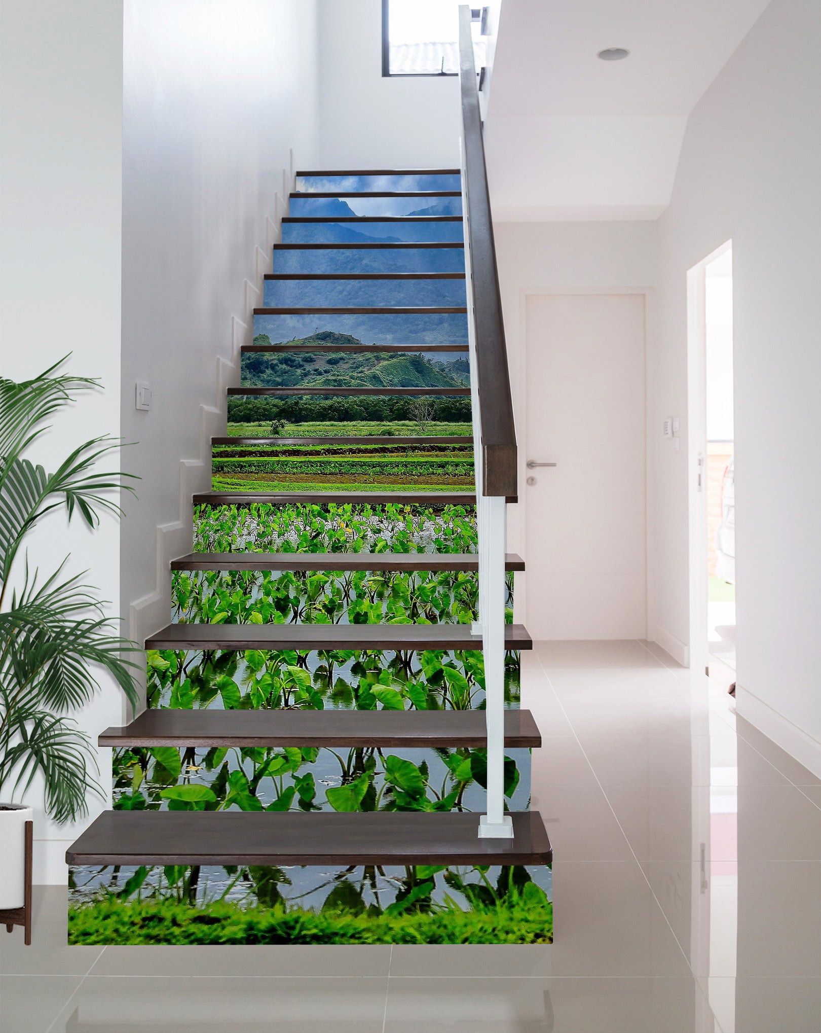 3D Field Plants 101102 Kathy Barefield Stair Risers