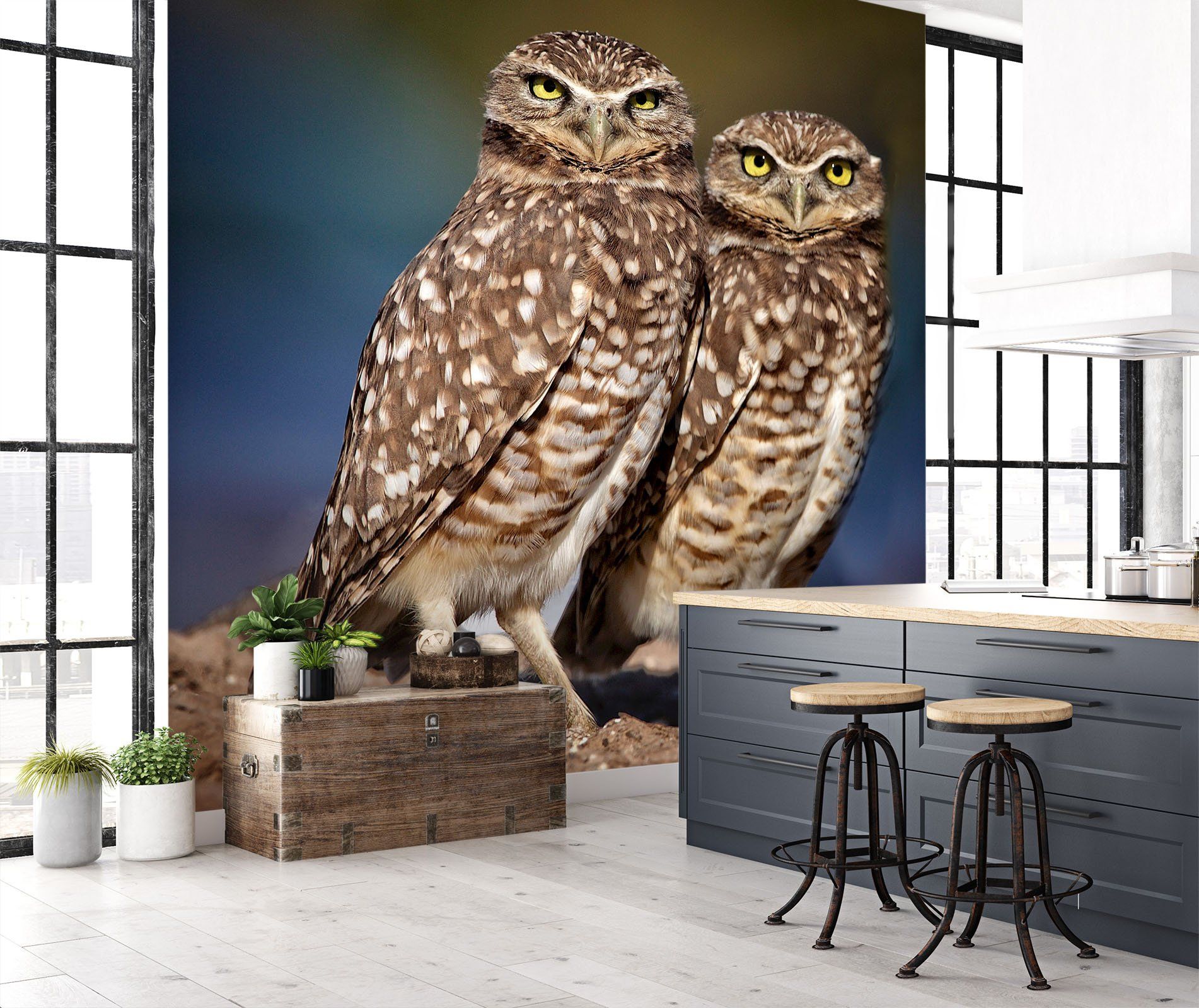 3D Burrowing Owl Buddies 105 Kathy Barefield Wall Mural Wall Murals Wallpaper AJ Wallpaper 2 