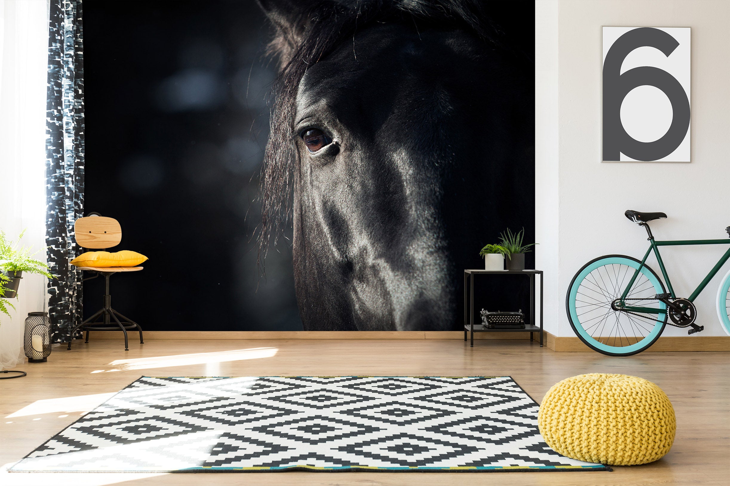 3D Horse Head 304 Wall Murals