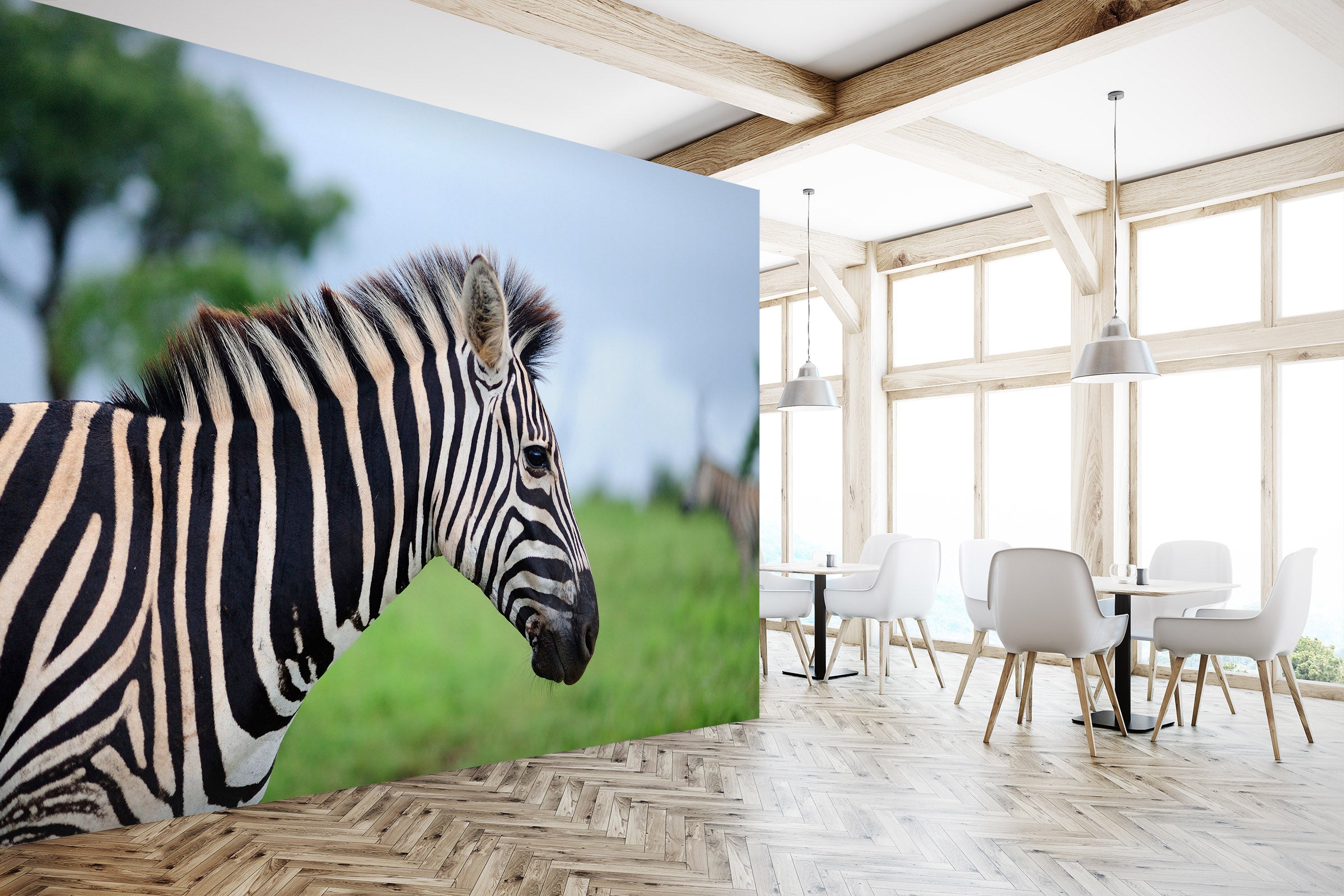 3D Zebra 58069 Wall Murals