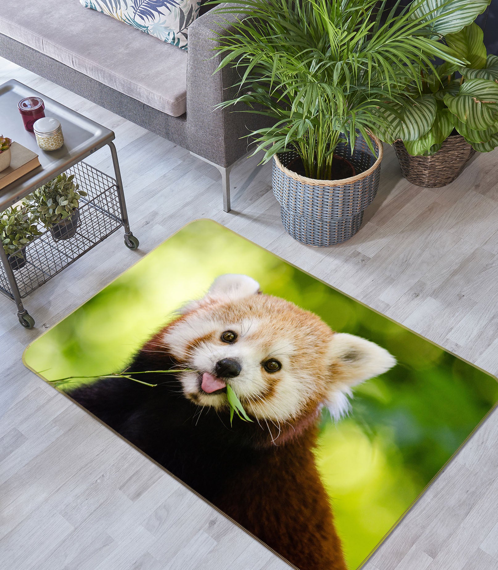 3D Raccoon 38156 Animal Non Slip Rug Mat