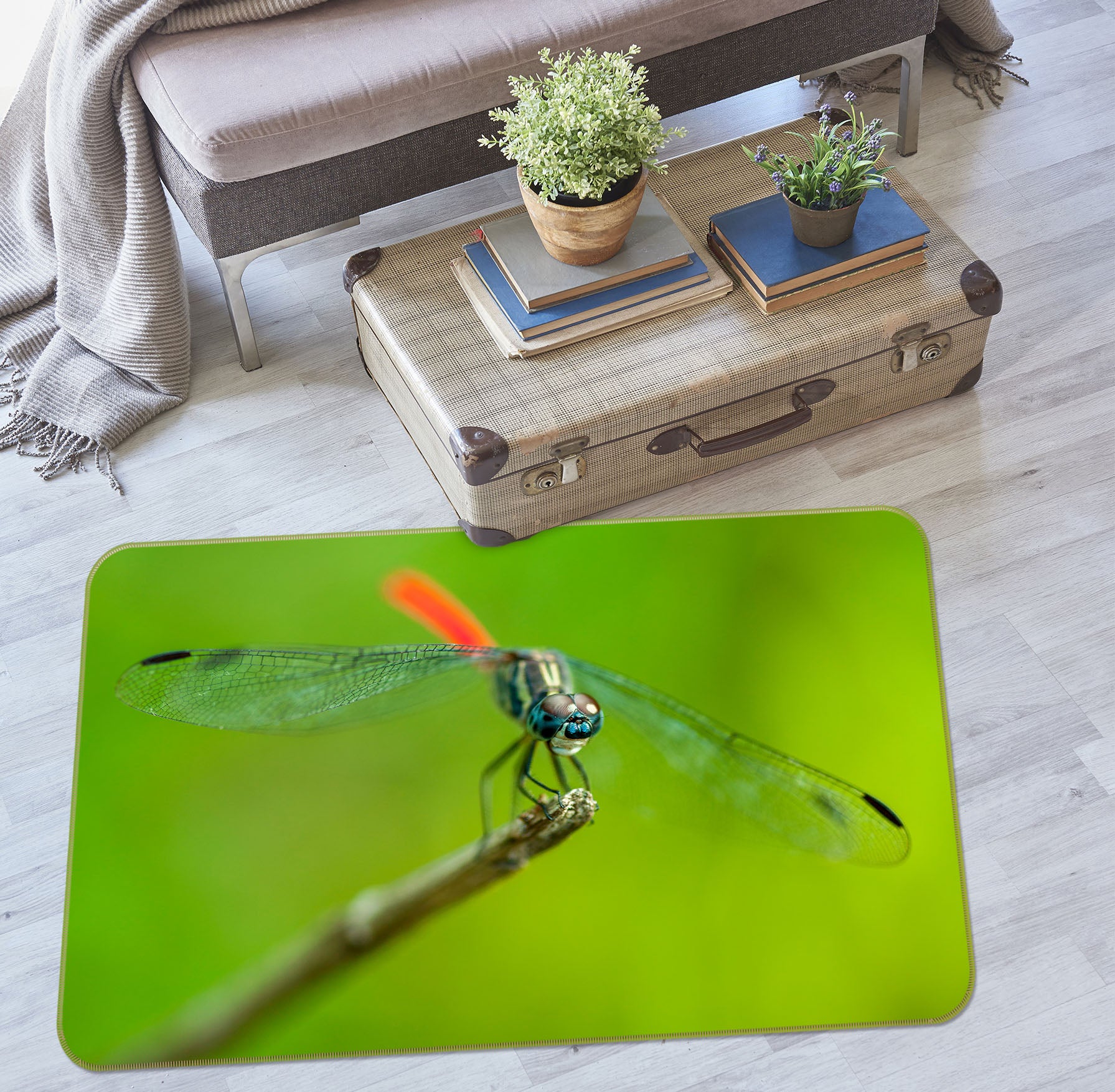 3D Dragonfly 83183 Assaf Frank Rug Non Slip Rug Mat