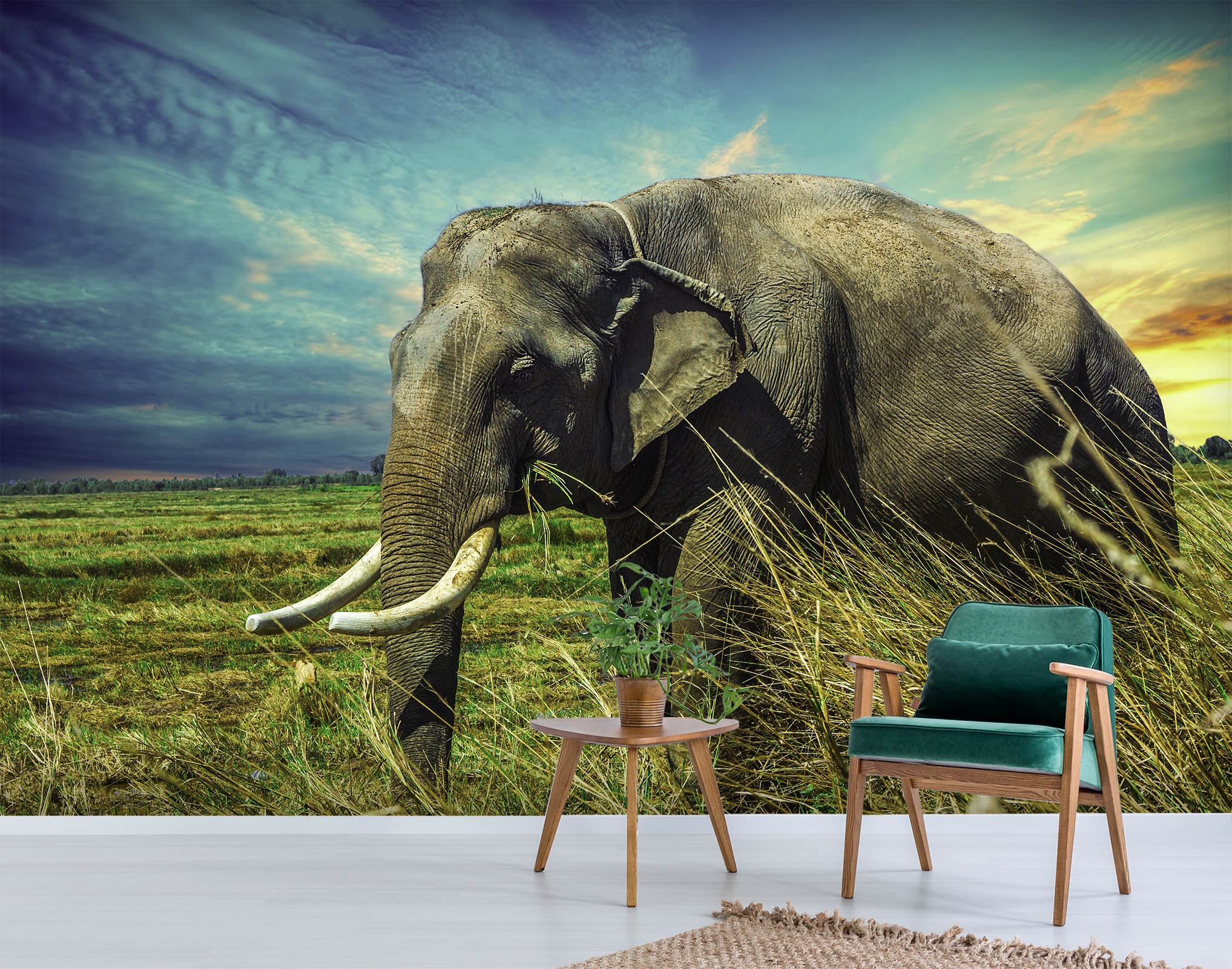 3D Grassland Elephant Trunk 137 Wallpaper AJ Wallpaper 