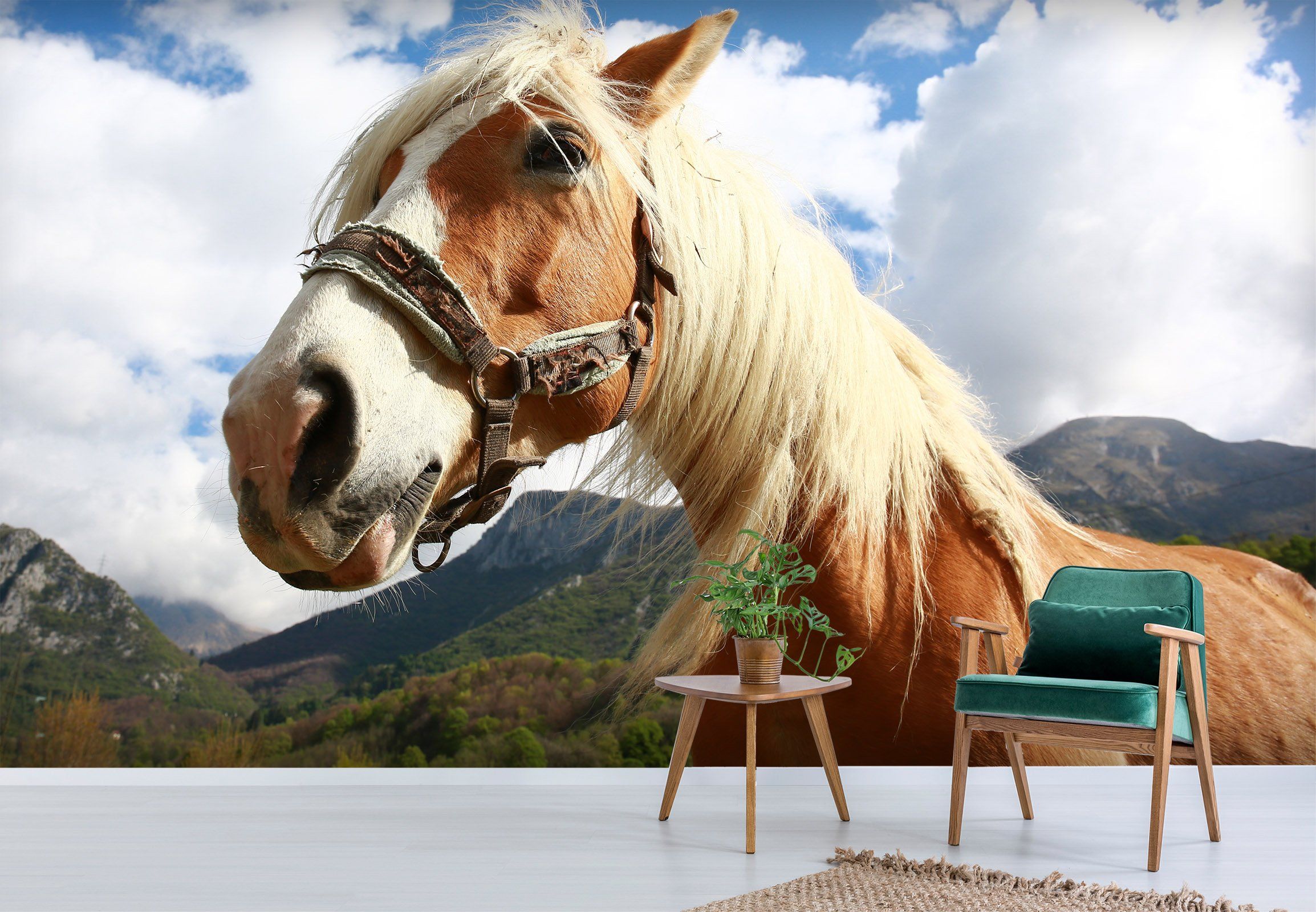 3D Horse Face 670 Wallpaper AJ Wallpaper 