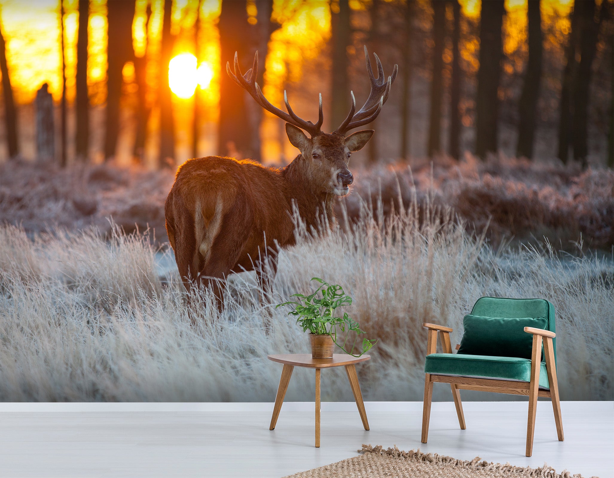 3D Sunset Forest Deer 386 Wall Murals