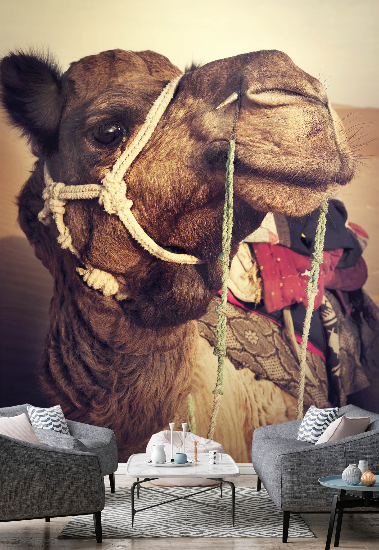 3D Camel Animal 142 Wall Murals