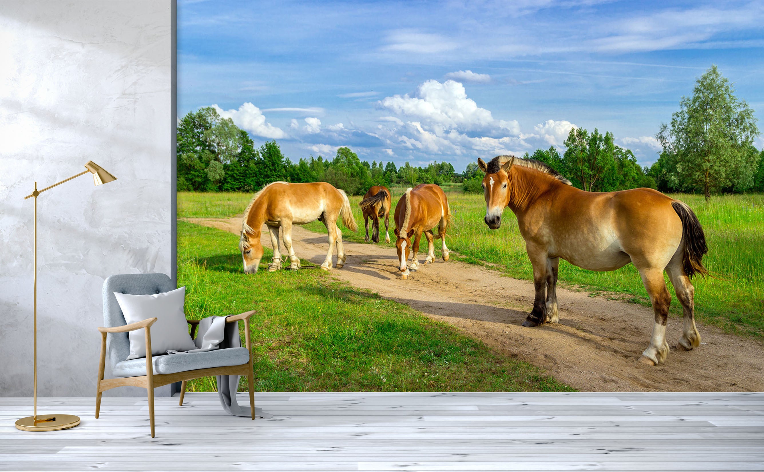 3D Lawn Horse 175 Wall Murals