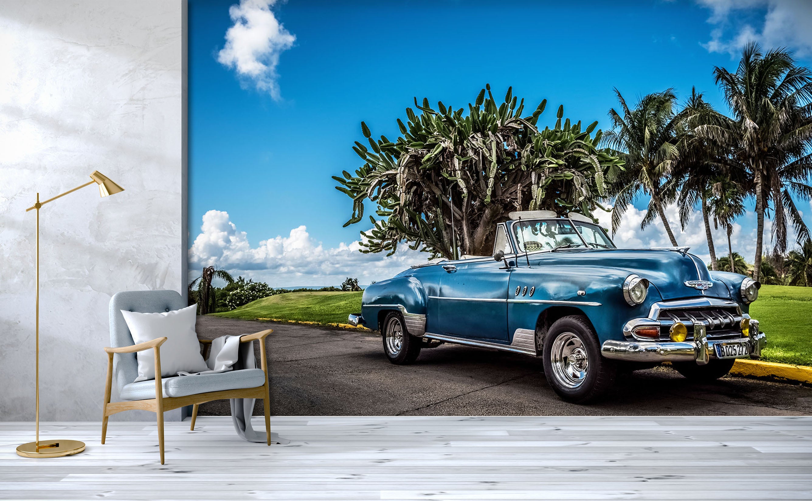 3D Convertible Coconut 343 Vehicle Wall Murals