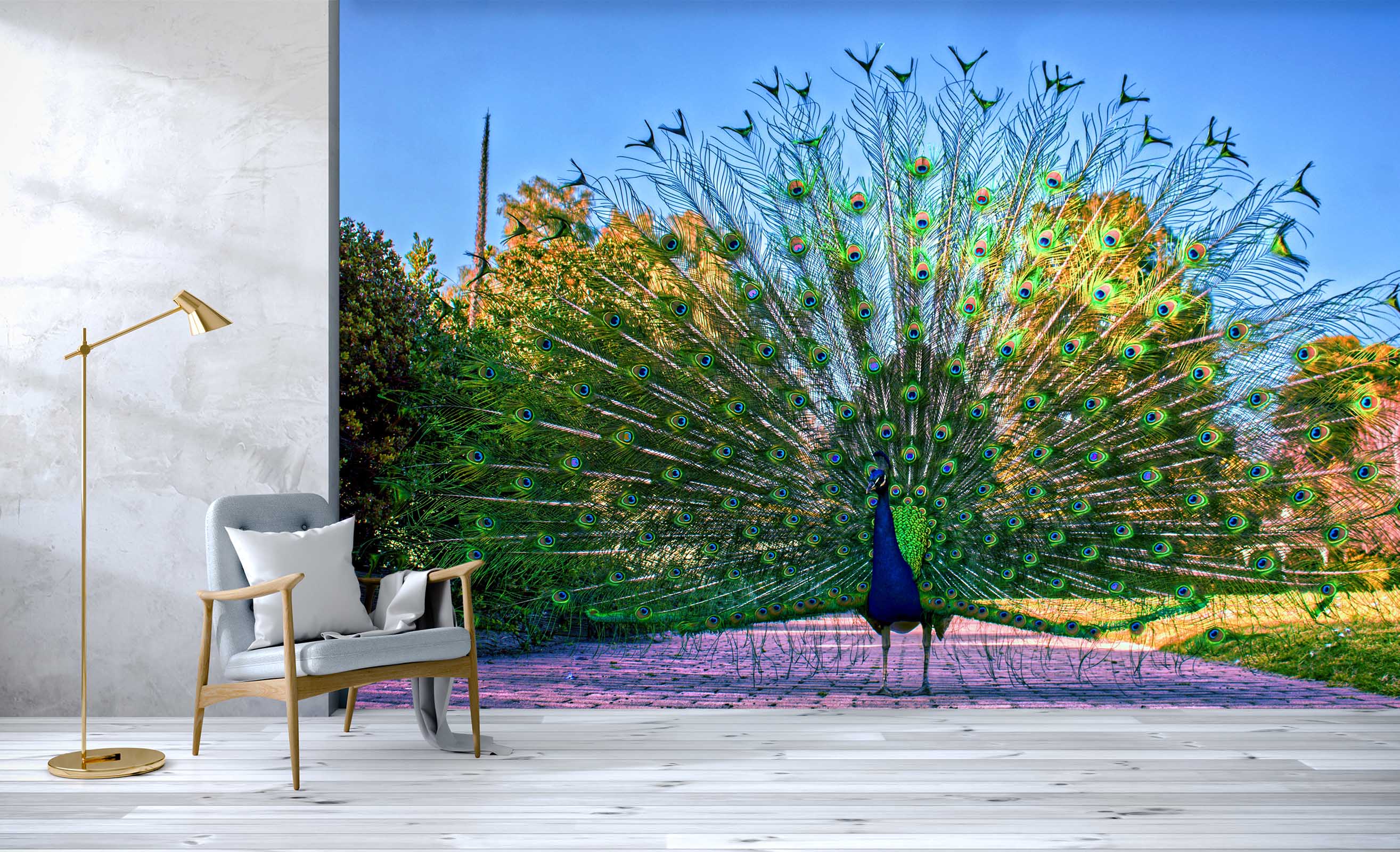 3D Peacock Opening 411 Wall Murals