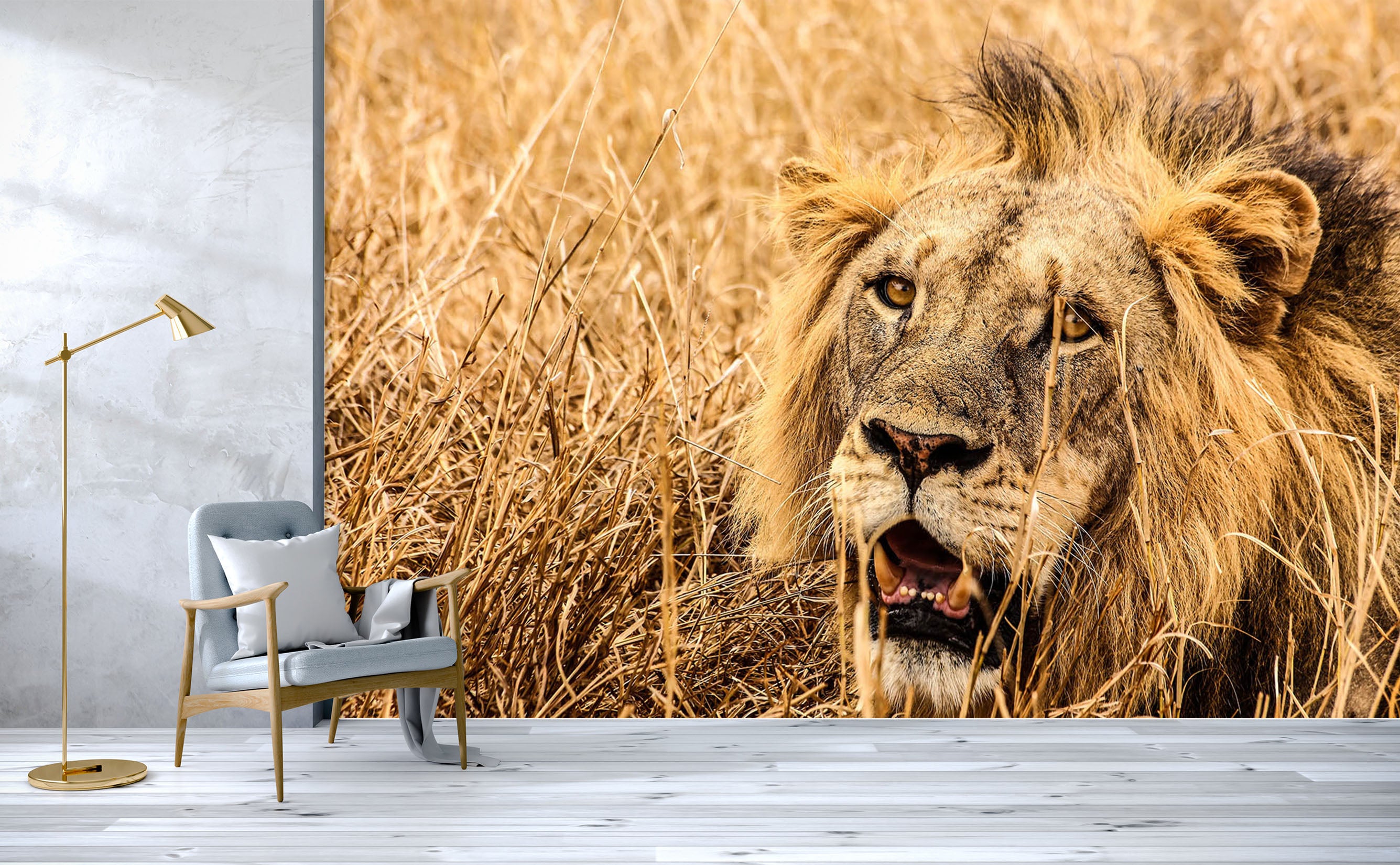 3D Prairie Lion 136 Wall Murals