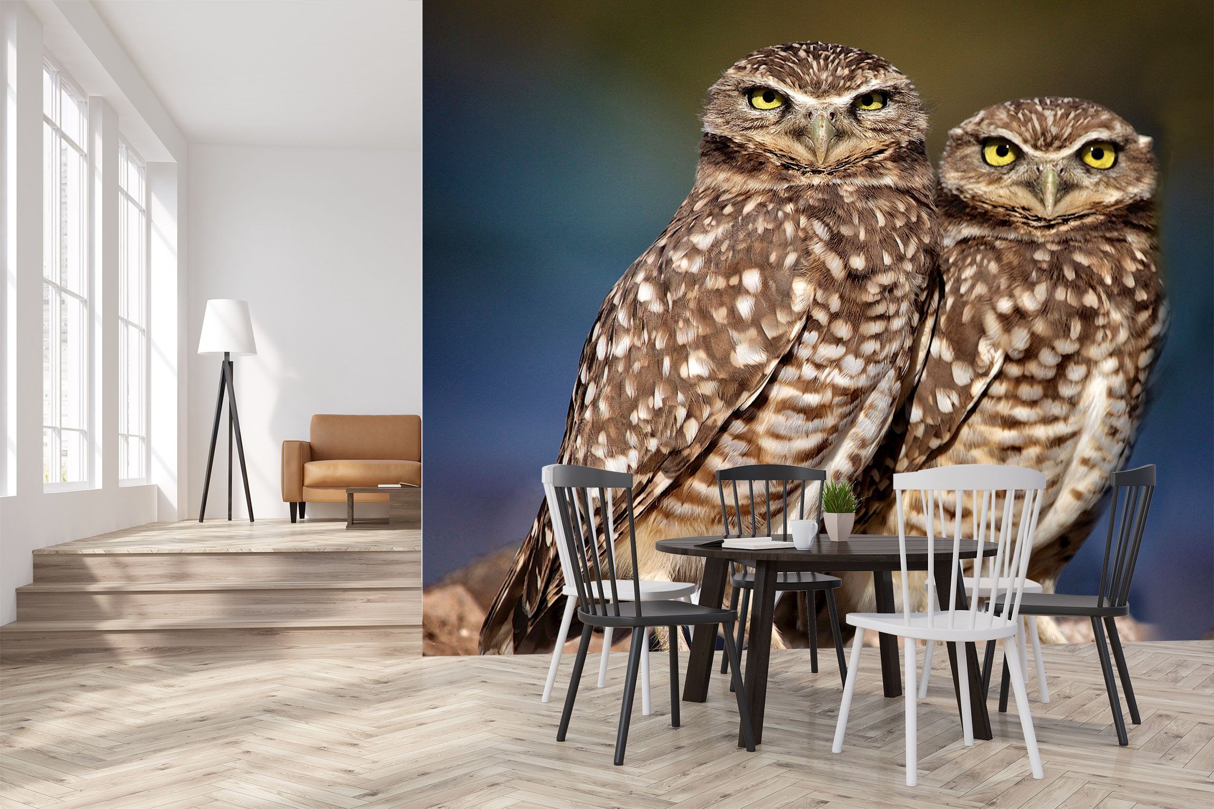 3D Burrowing Owl Buddies 105 Kathy Barefield Wall Mural Wall Murals Wallpaper AJ Wallpaper 2 