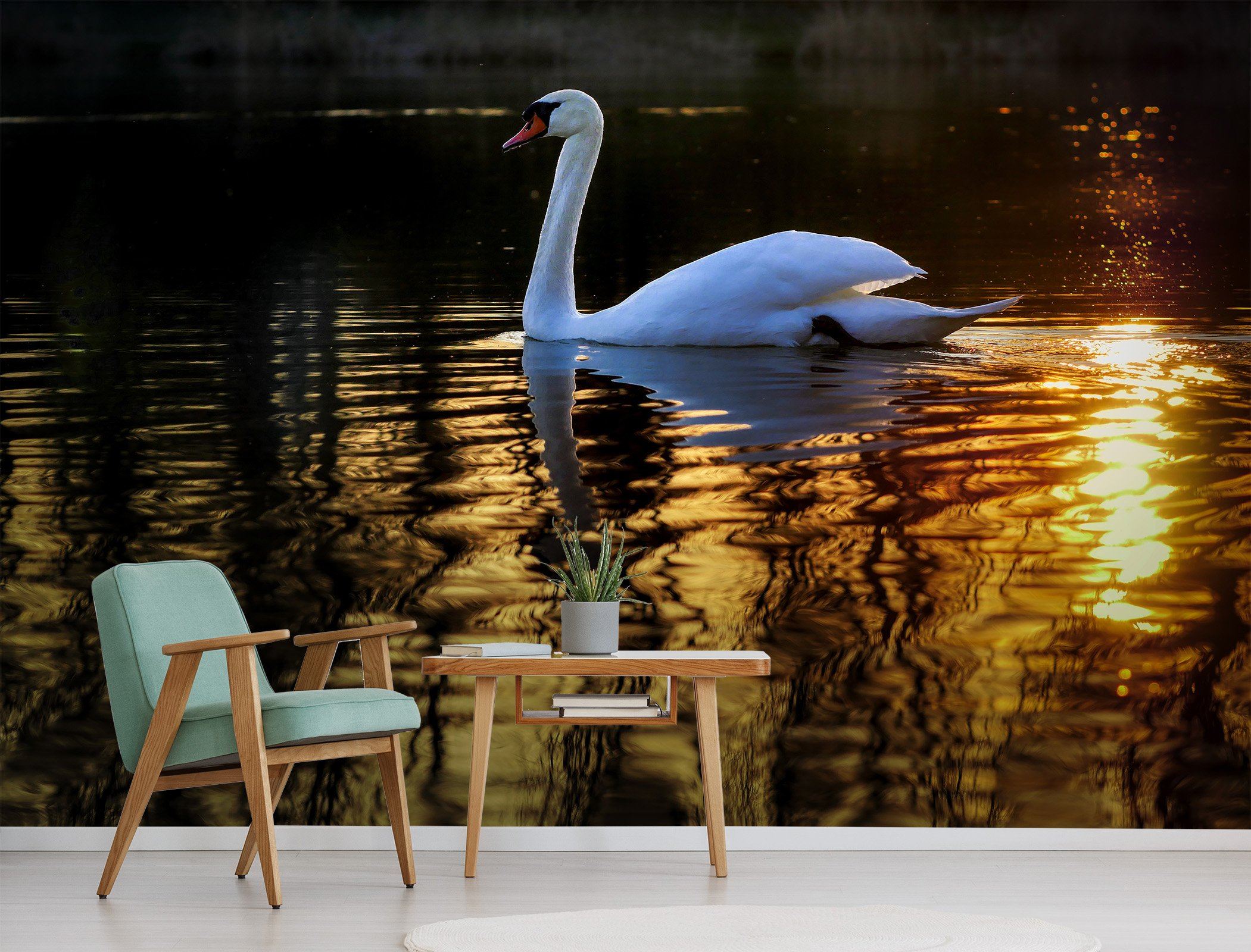 3D Swan Swimming 237 Wallpaper AJ Wallpaper 