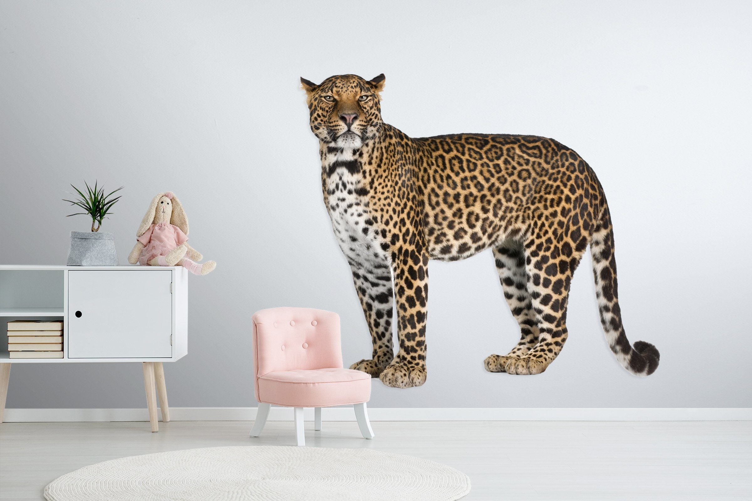 3D The Leopard Looks Into The Distance 074 Animals Wall Stickers Wallpaper AJ Wallpaper 