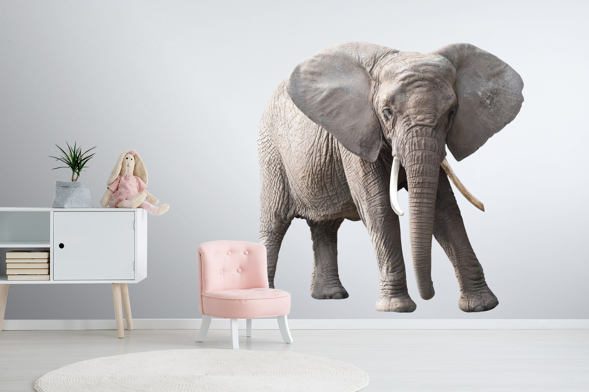 3D Elephant's Ear 144 Animals Wall Stickers Wallpaper AJ Wallpaper 