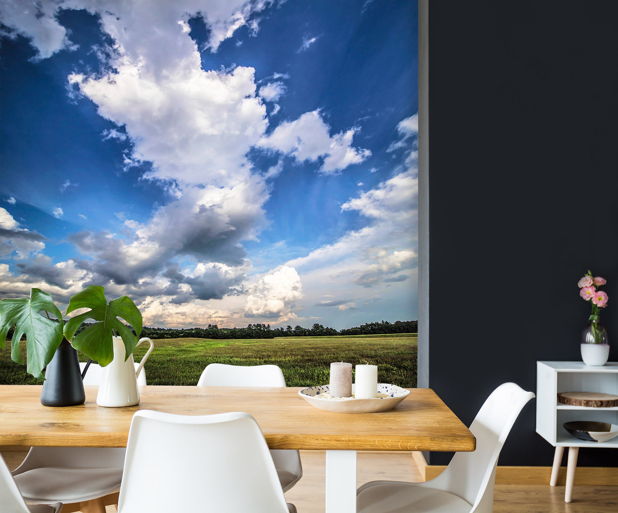 3D Sky Grass 85015 Jerry LoFaro Wall Mural Wall Murals