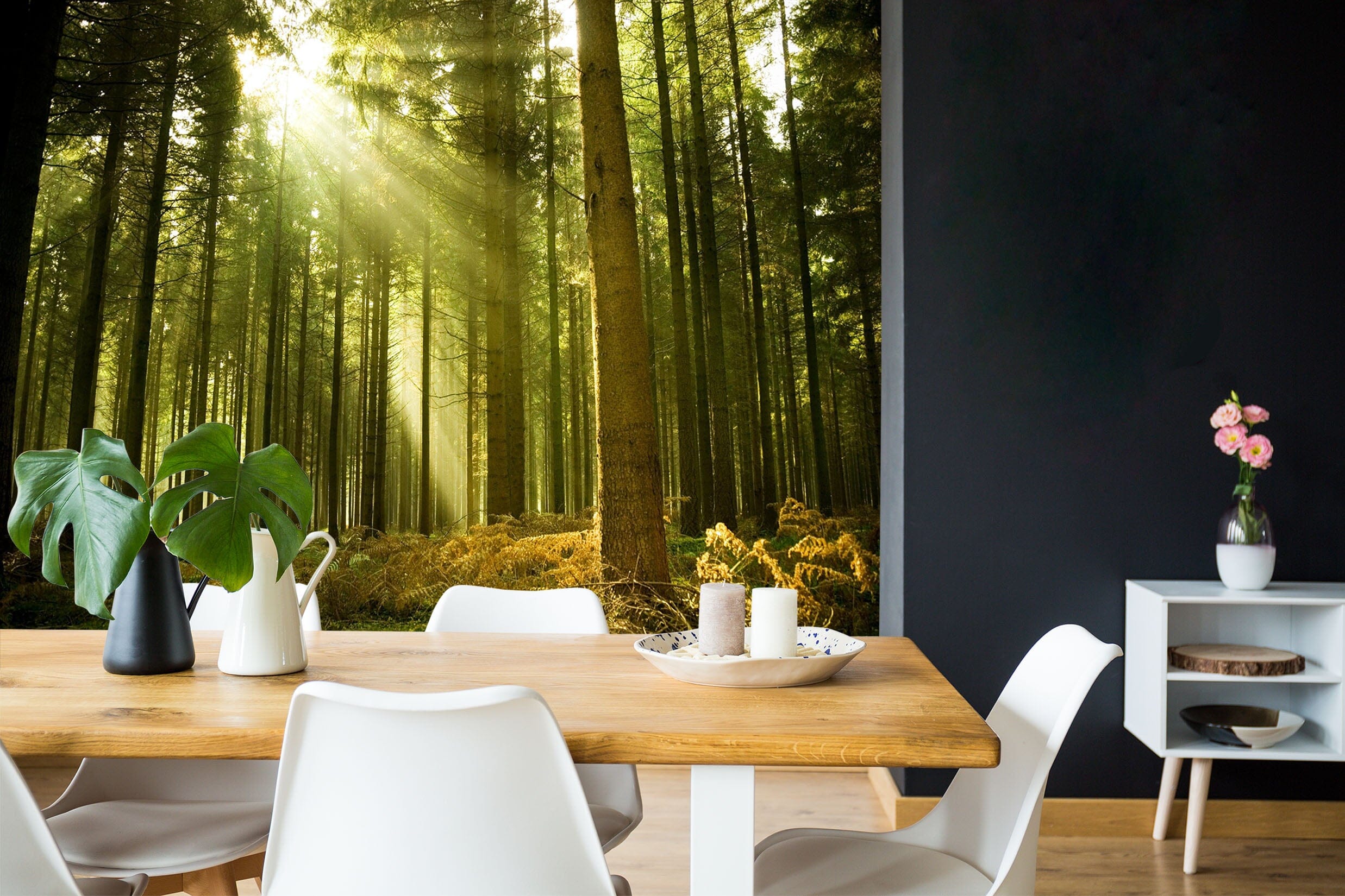 3D Forest Sunlight 119 Wall Murals Wallpaper AJ Wallpaper 2 