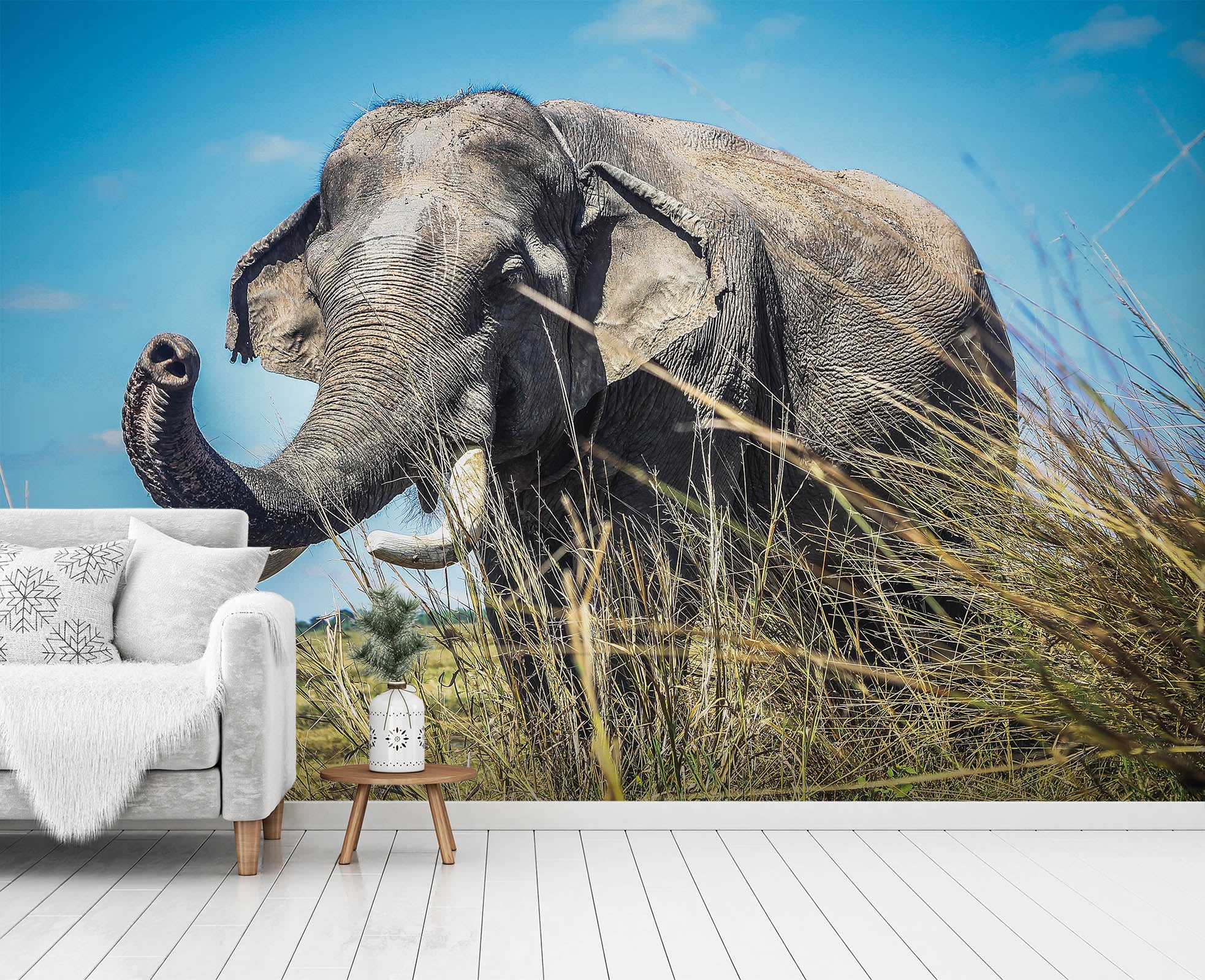 3D Elephant Grass 410 Wall Murals