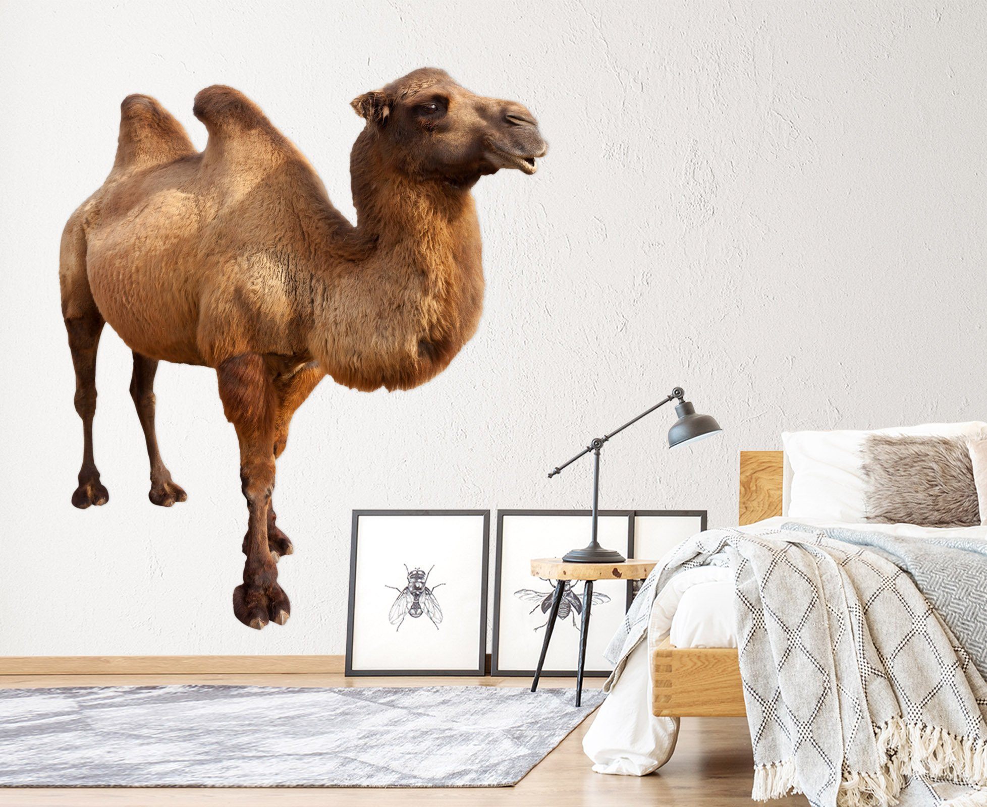 3D Camel 024 Animals Wall Stickers Wallpaper AJ Wallpaper 