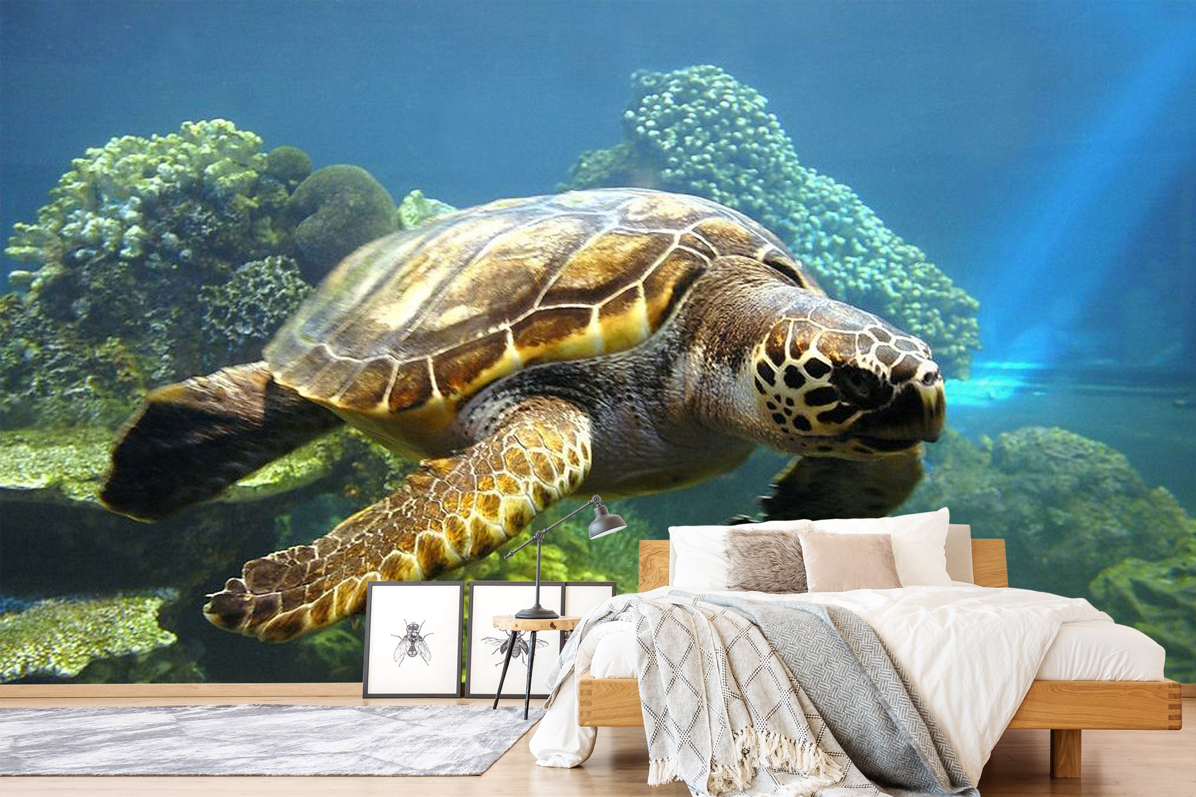 3D Coral Turtle 433 Wall Murals