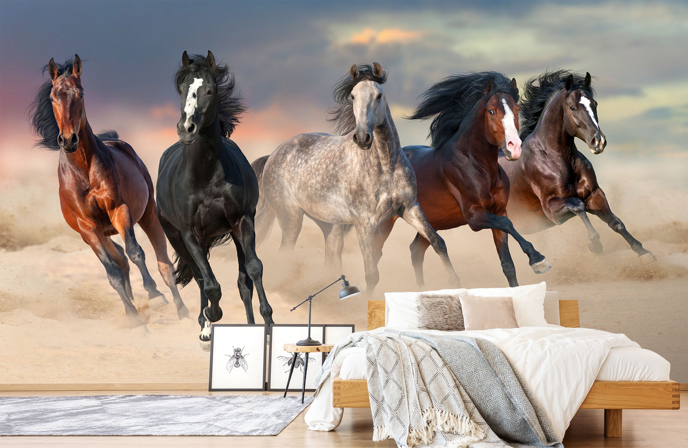 3D Dust Horse 449 Wall Murals