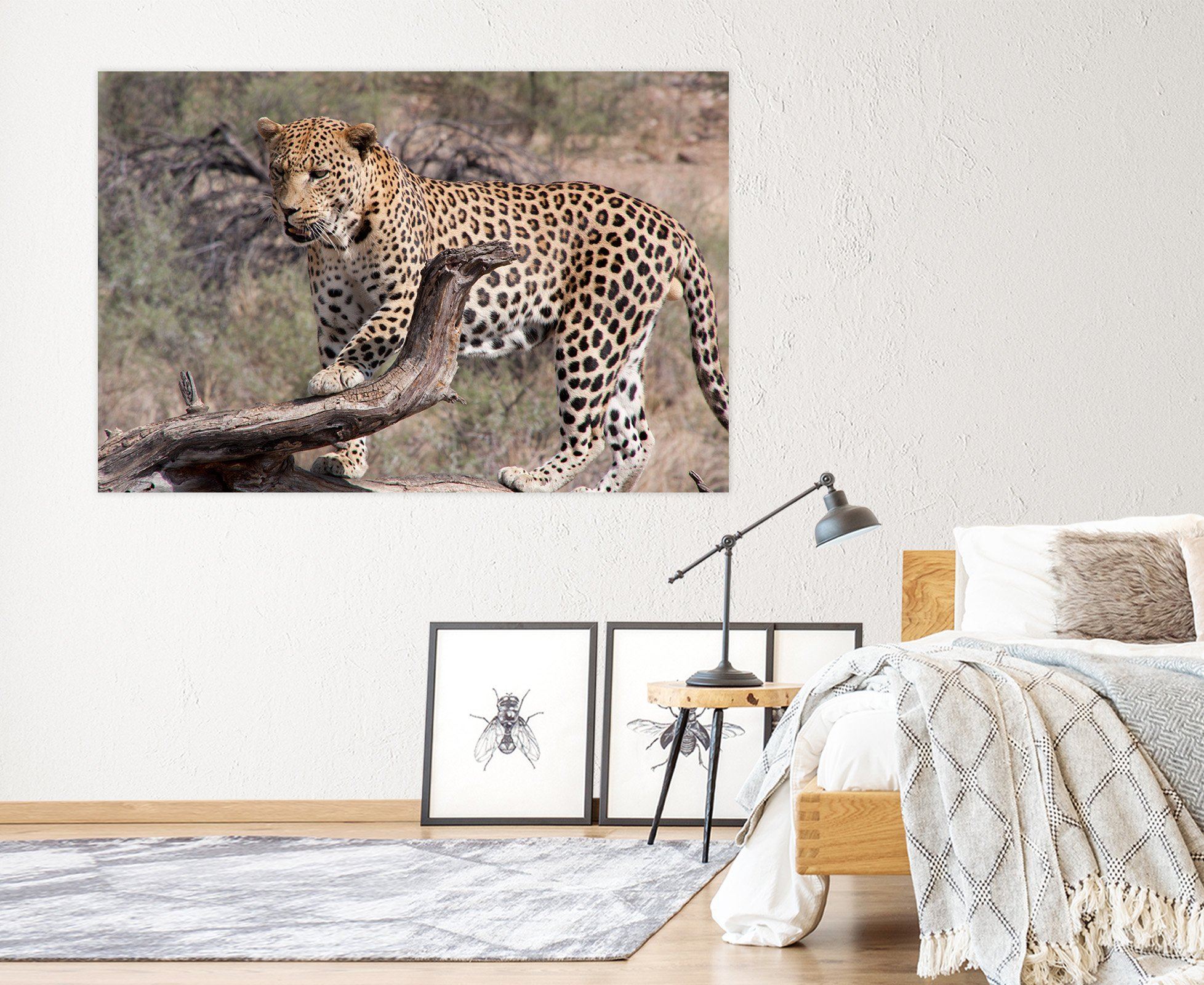 3D South American Leopard 114 Animal Wall Stickers Wallpaper AJ Wallpaper 2 