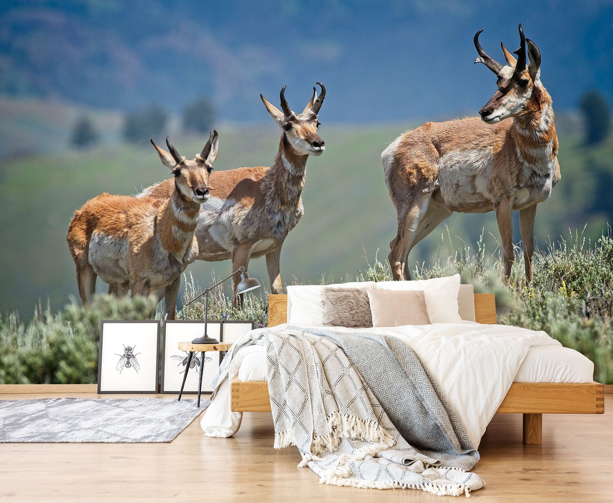 3D Pronghorn Antelope 101 Kathy Barefield Wall Mural Wall Murals Wallpaper AJ Wallpaper 2 