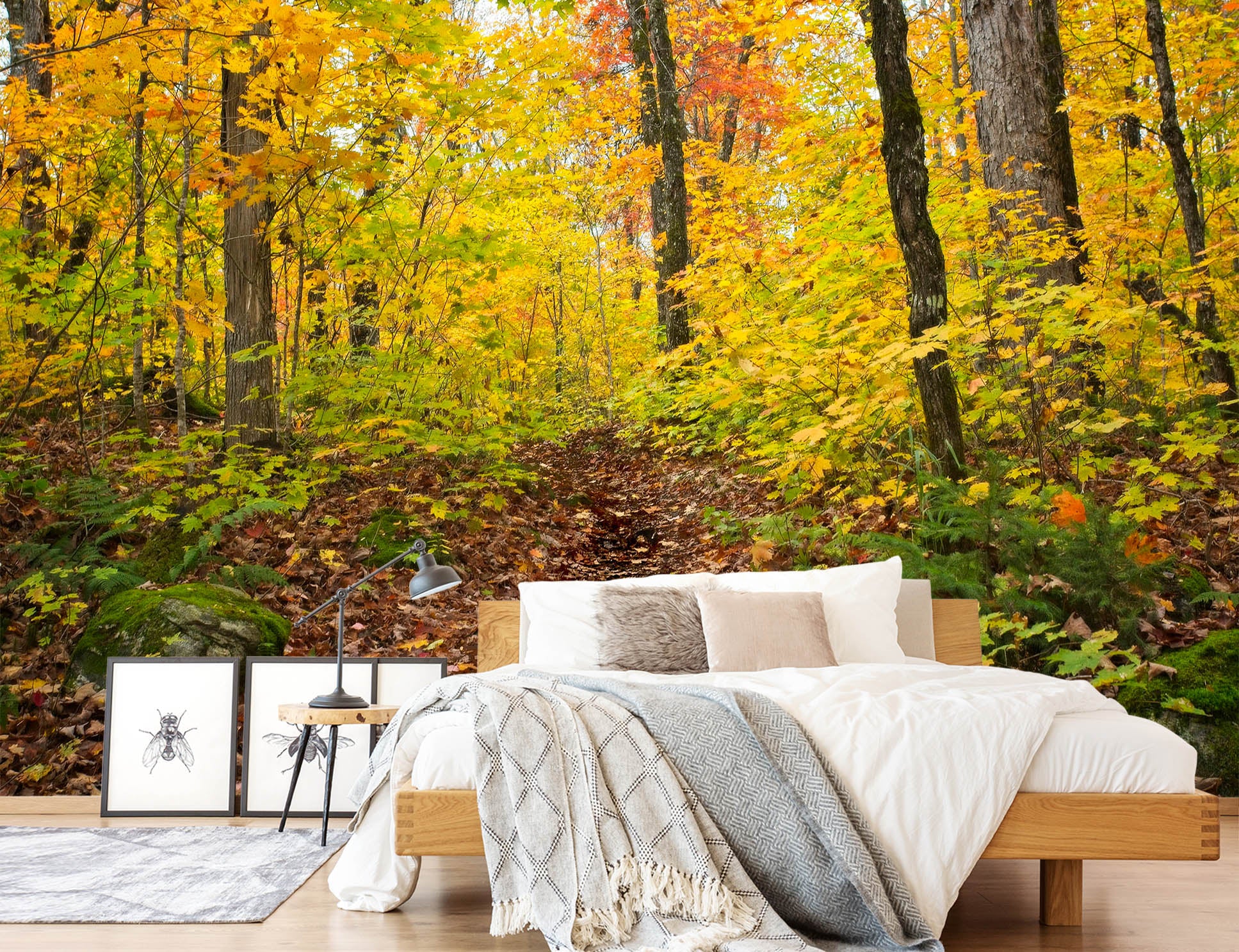 3D Autumn Trail 61142 Kathy Barefield Wall Mural Wall Murals