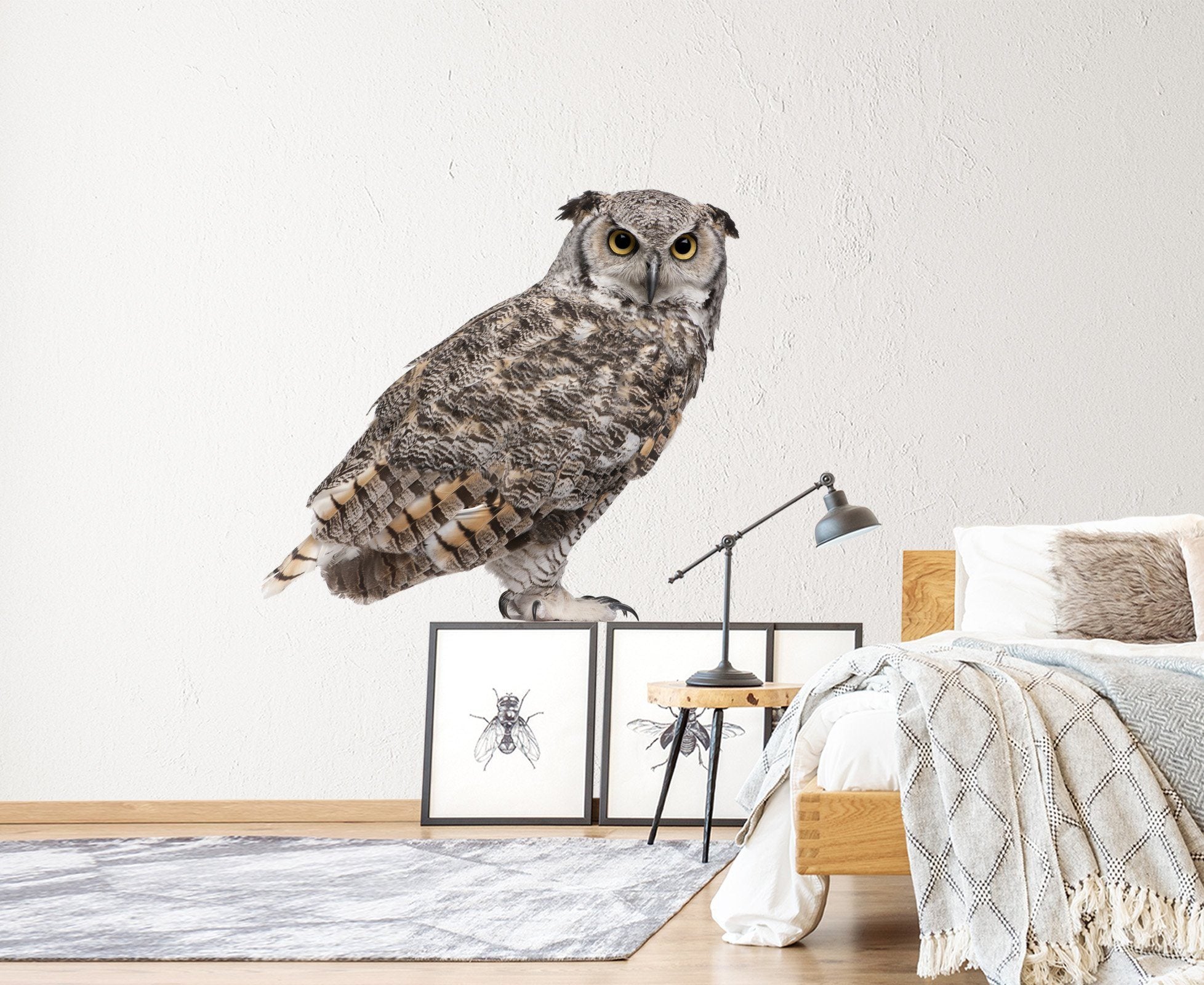 3D Owl 206 Animals Wall Stickers Wallpaper AJ Wallpaper 