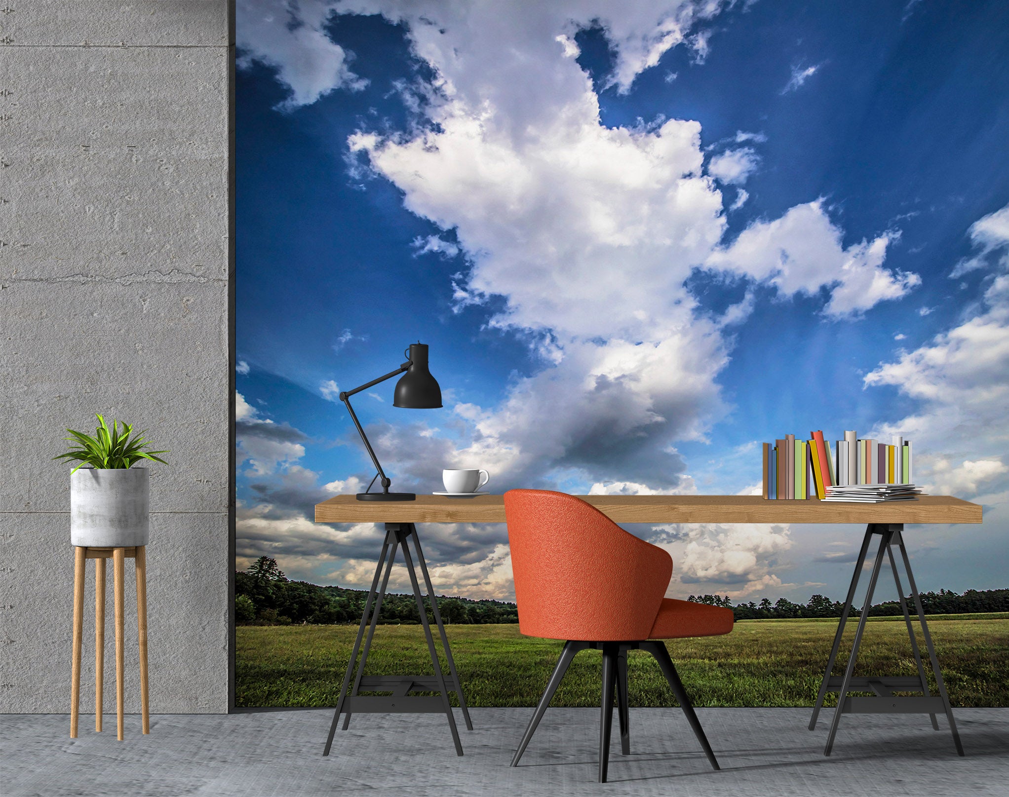 3D Sky Grass 85015 Jerry LoFaro Wall Mural Wall Murals