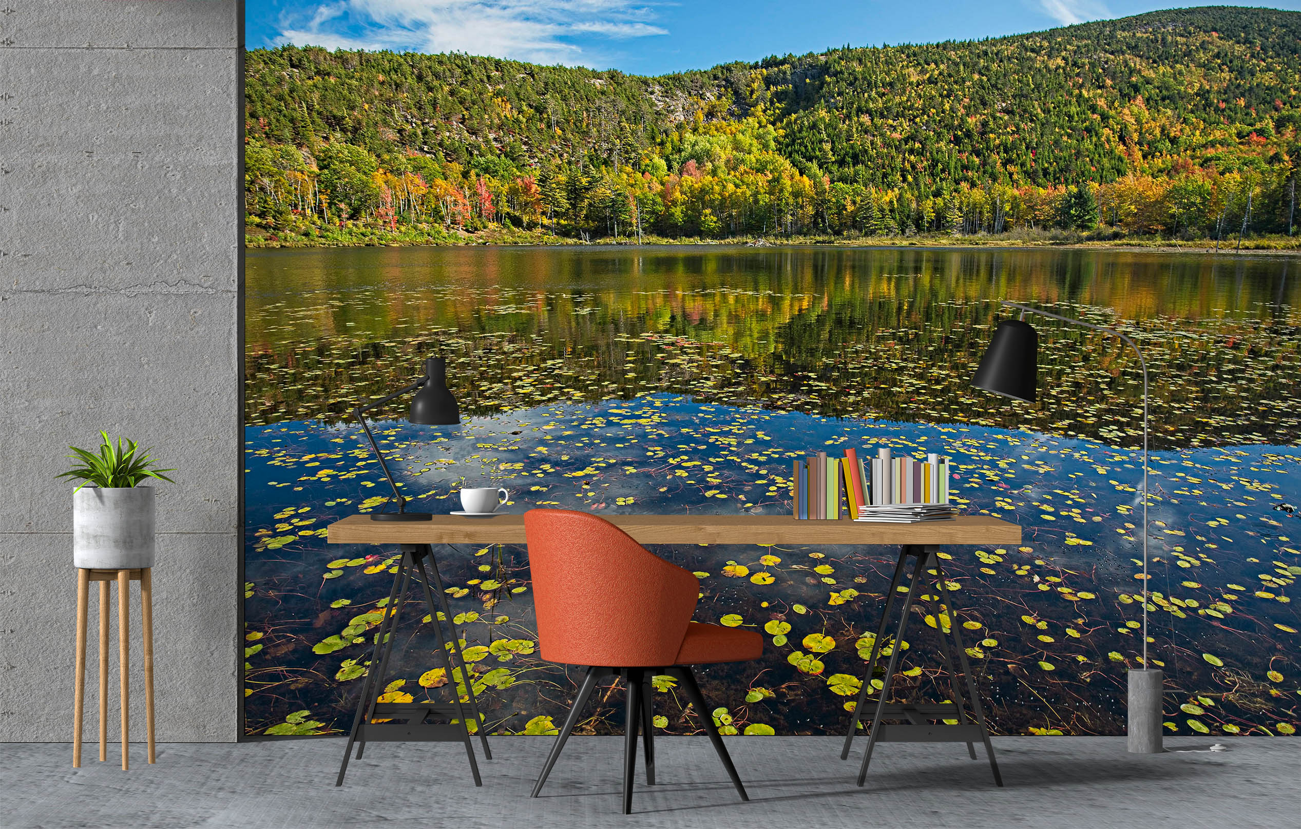 3D Mountain Lake Reflection 61161 Kathy Barefield Wall Mural Wall Murals