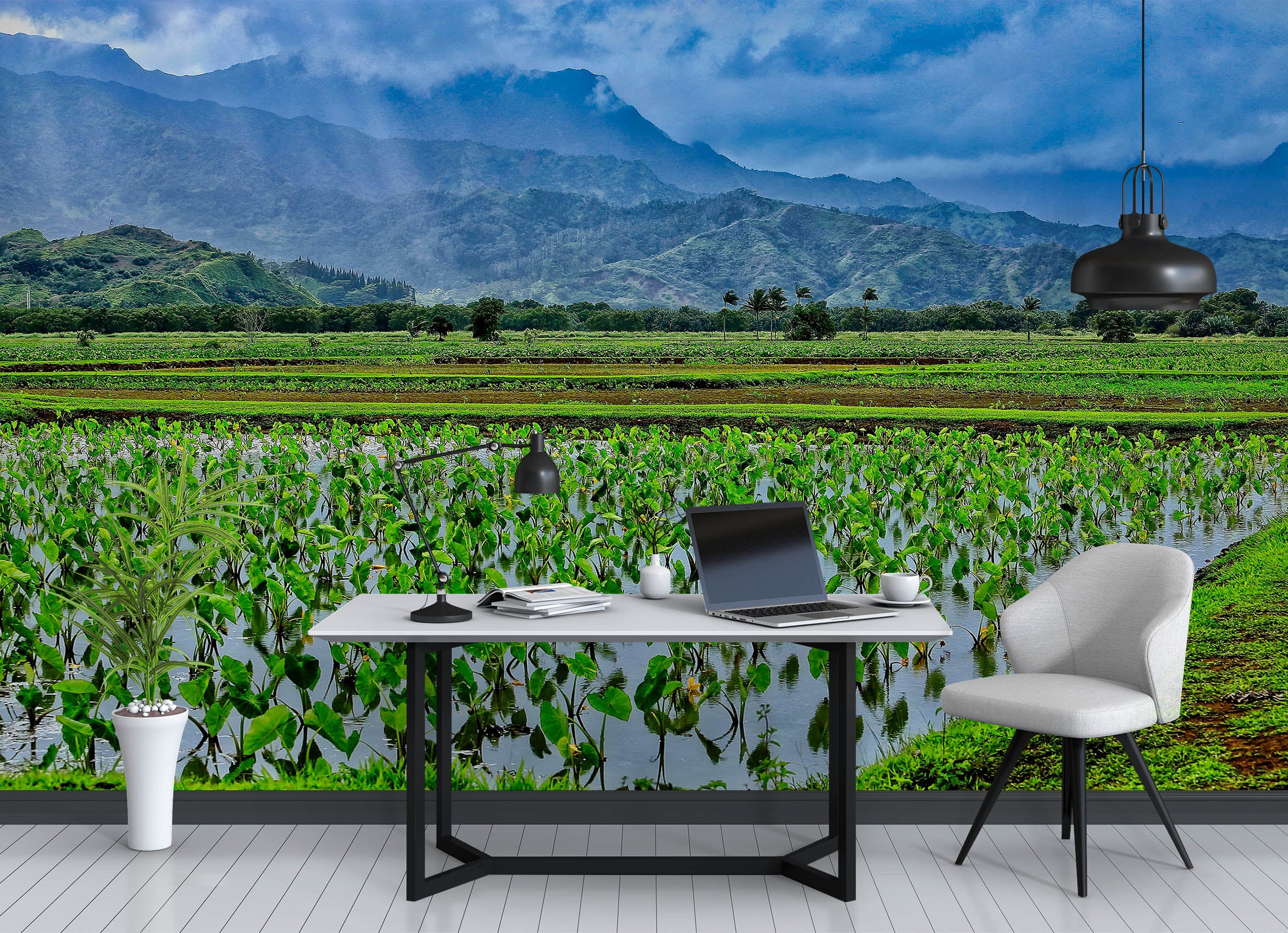 3D Taro Fields 11182 Kathy Barefield Wall Mural Wall Murals