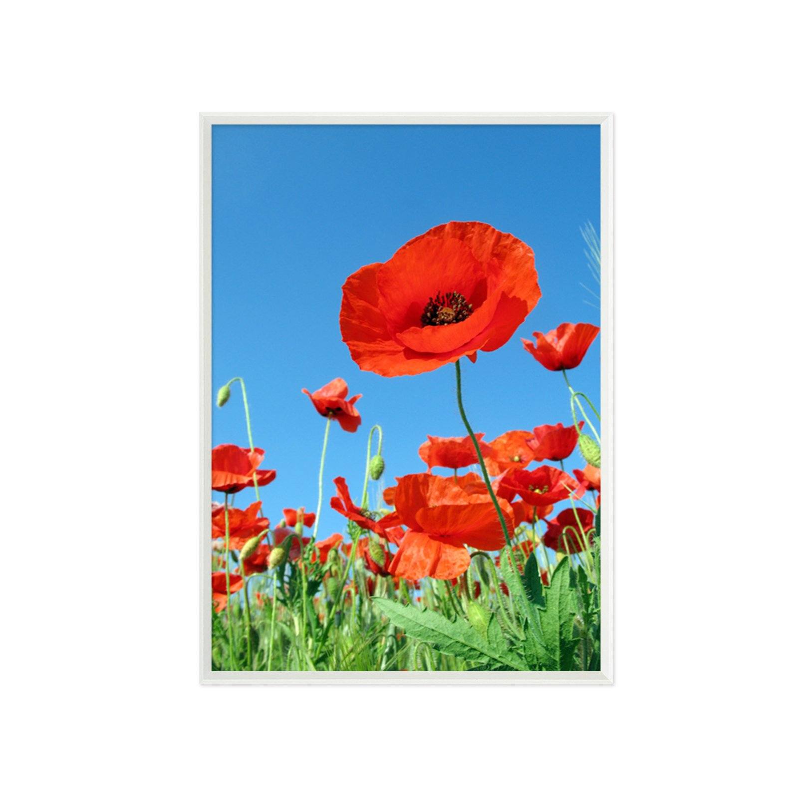 3D Small Red Flower 031 Fake Framed Print Painting Wallpaper AJ Creativity Home 